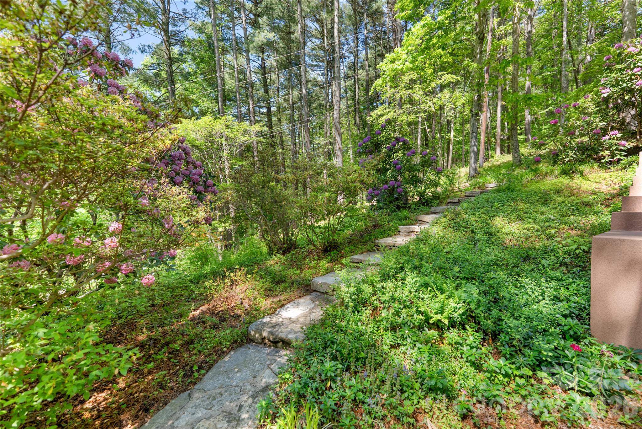 200 Robinhood Road — Asheville