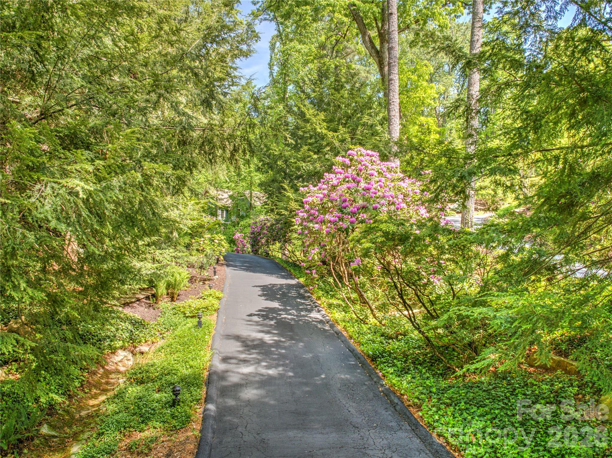 200 Robinhood Road — Asheville