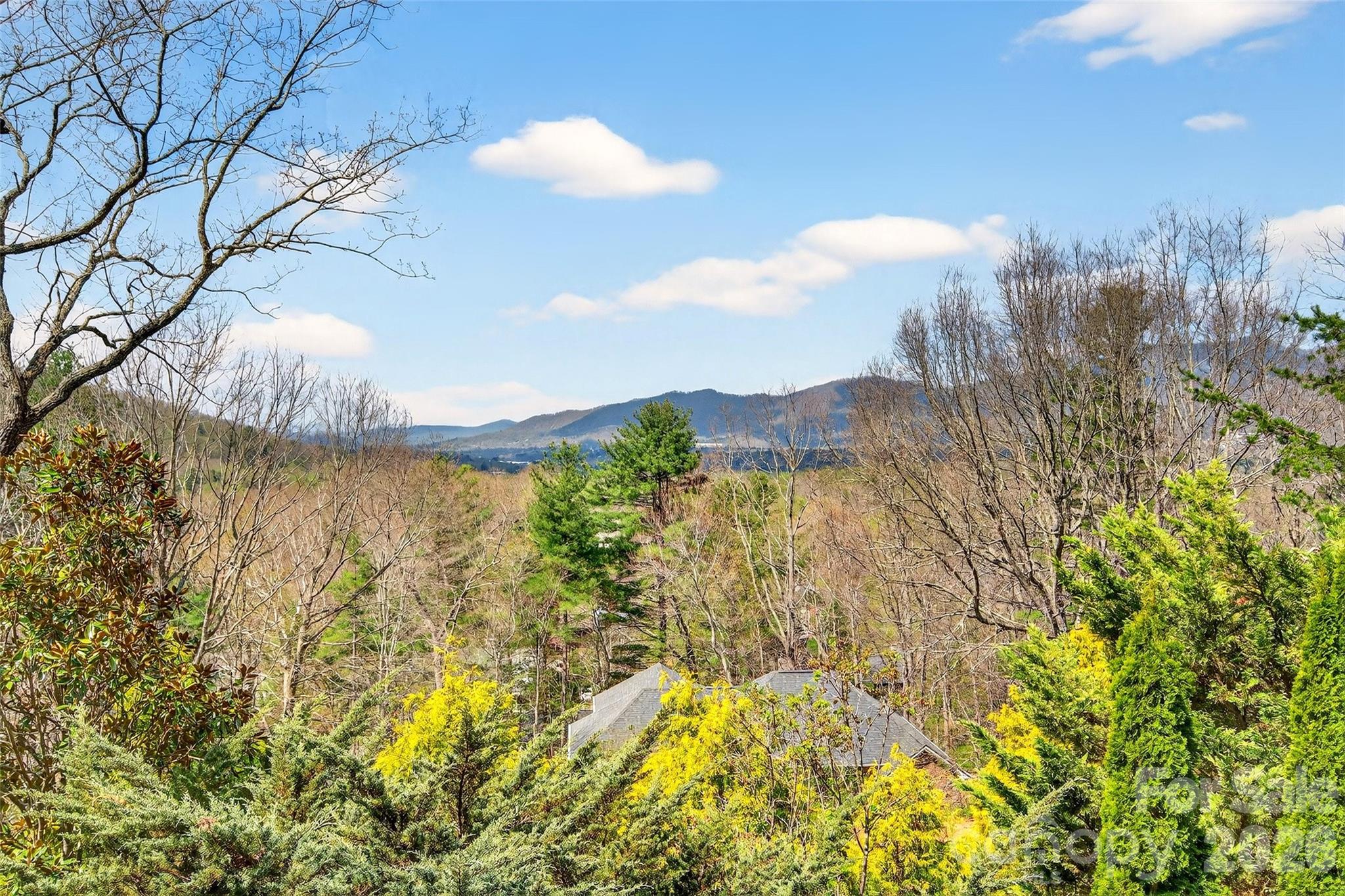 3 Tree Top Place — Black Mountain