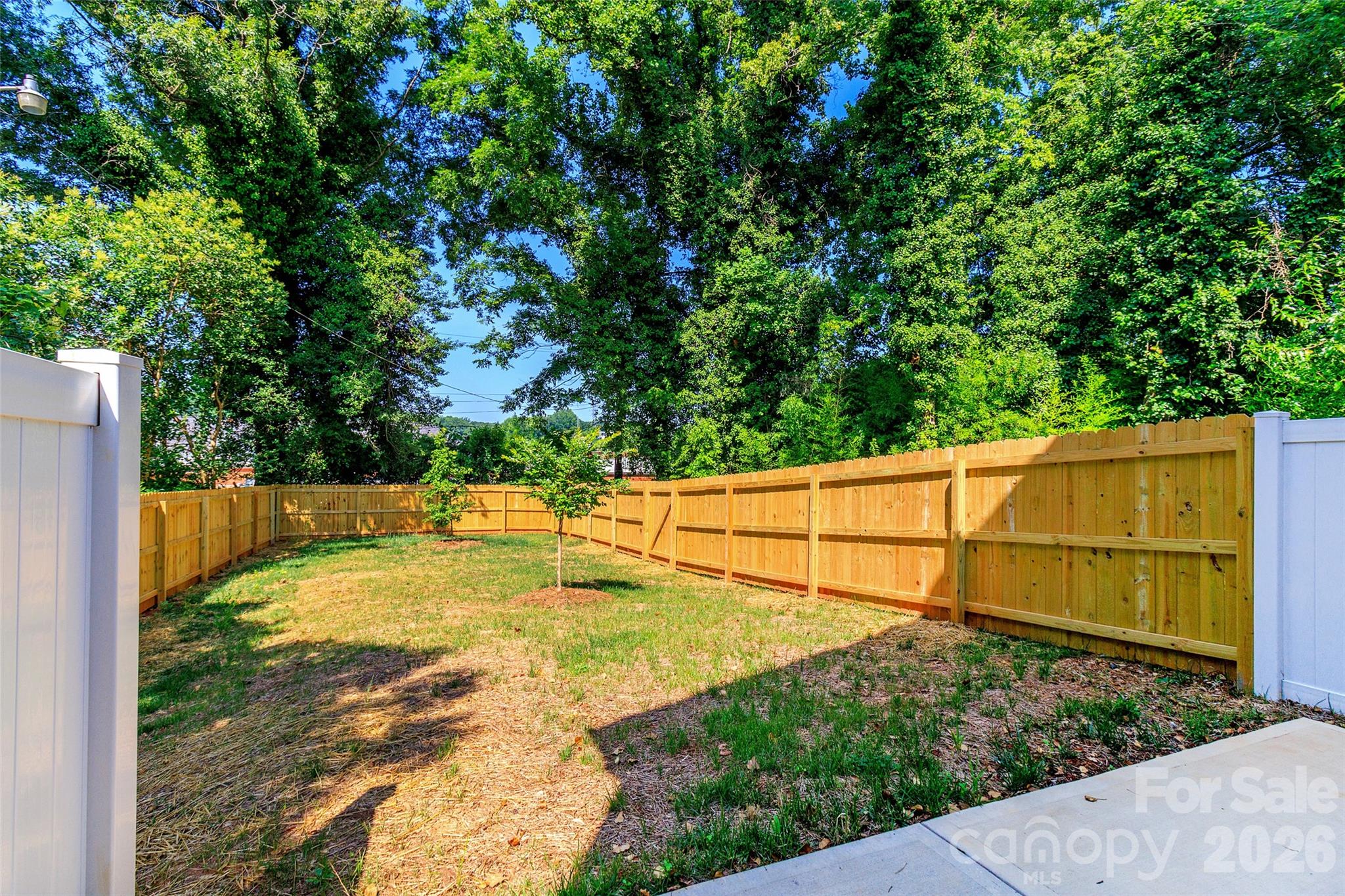 2517 Elon Street — Charlotte