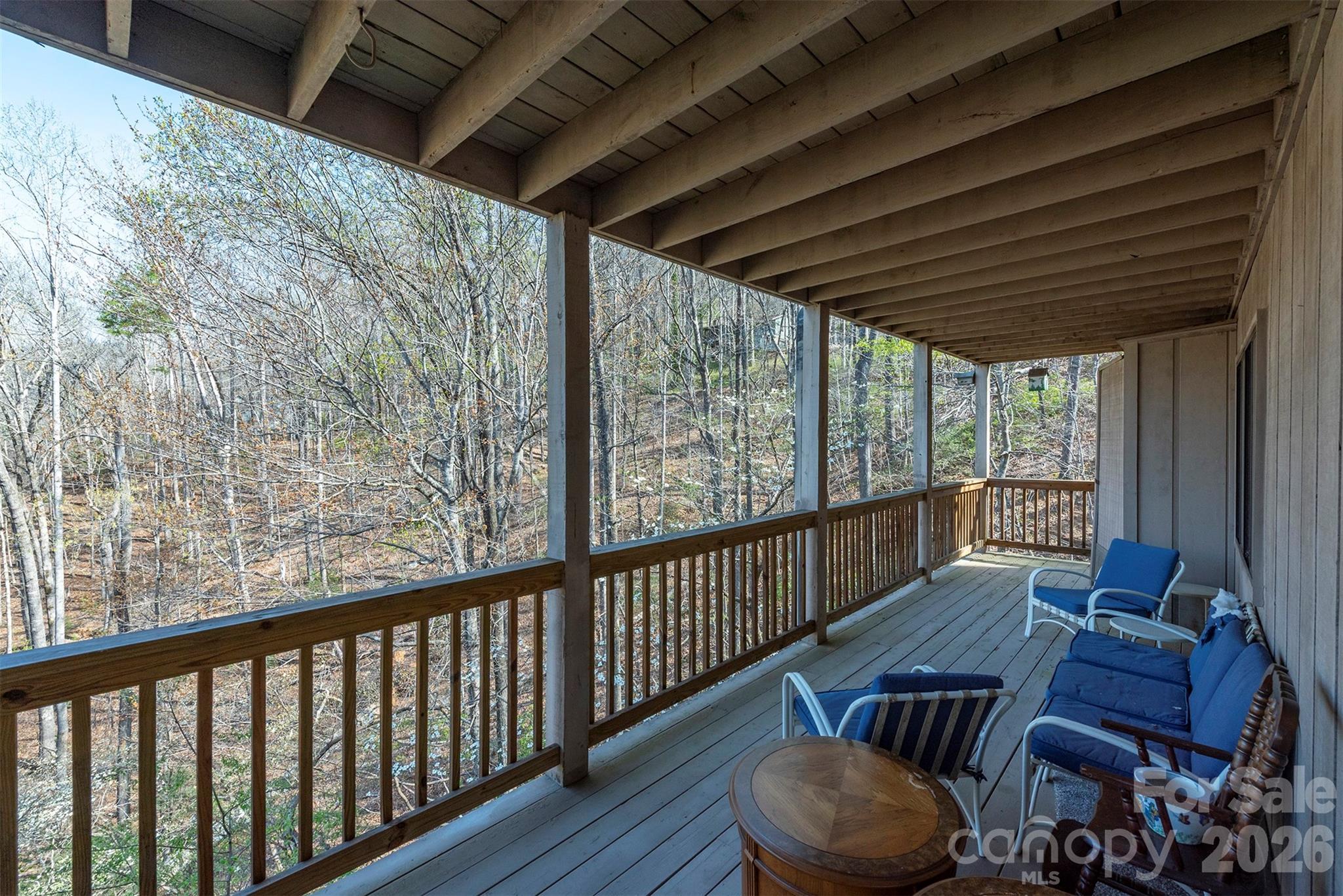 145 White Pine Drive — Lake Lure