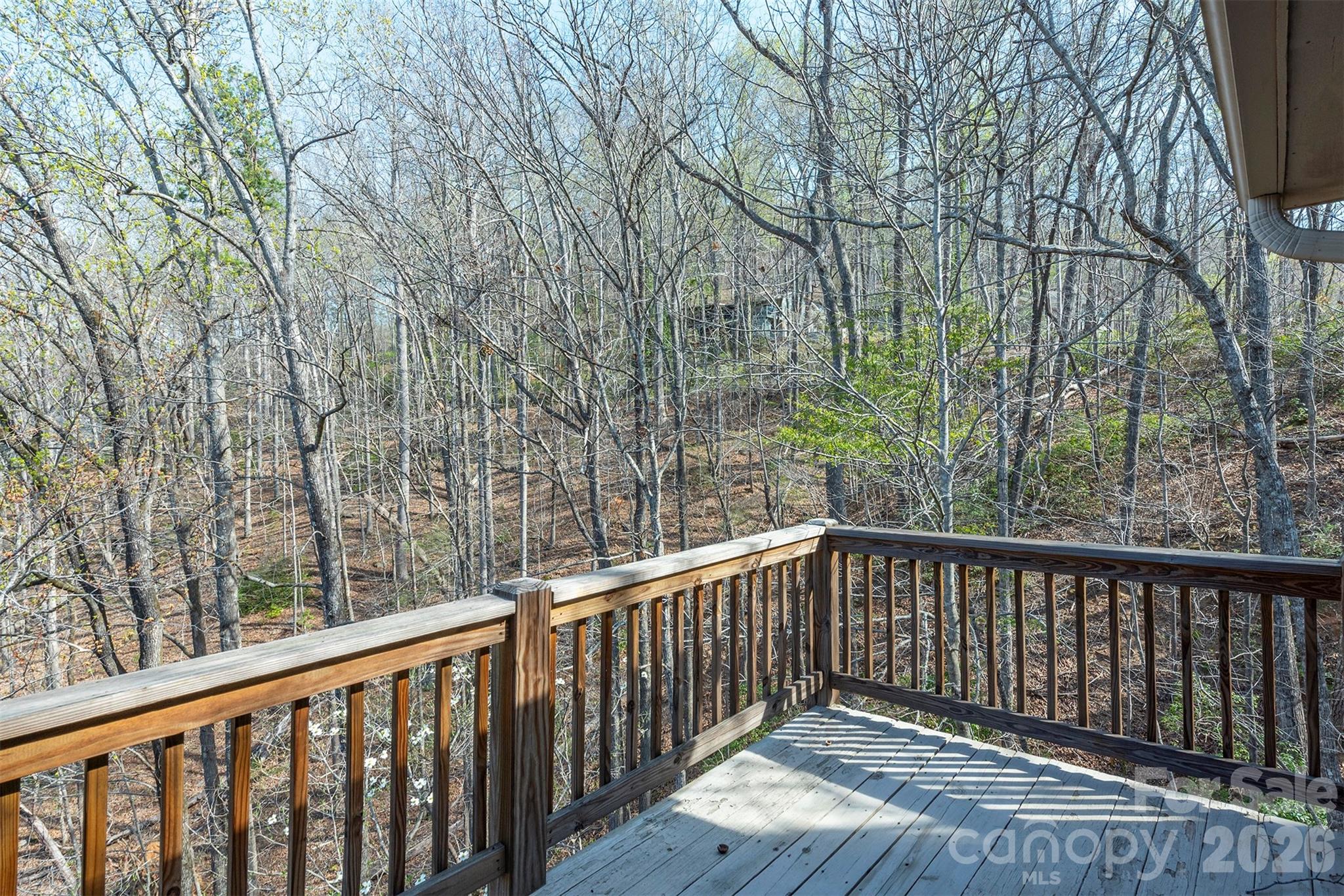 145 White Pine Drive — Lake Lure