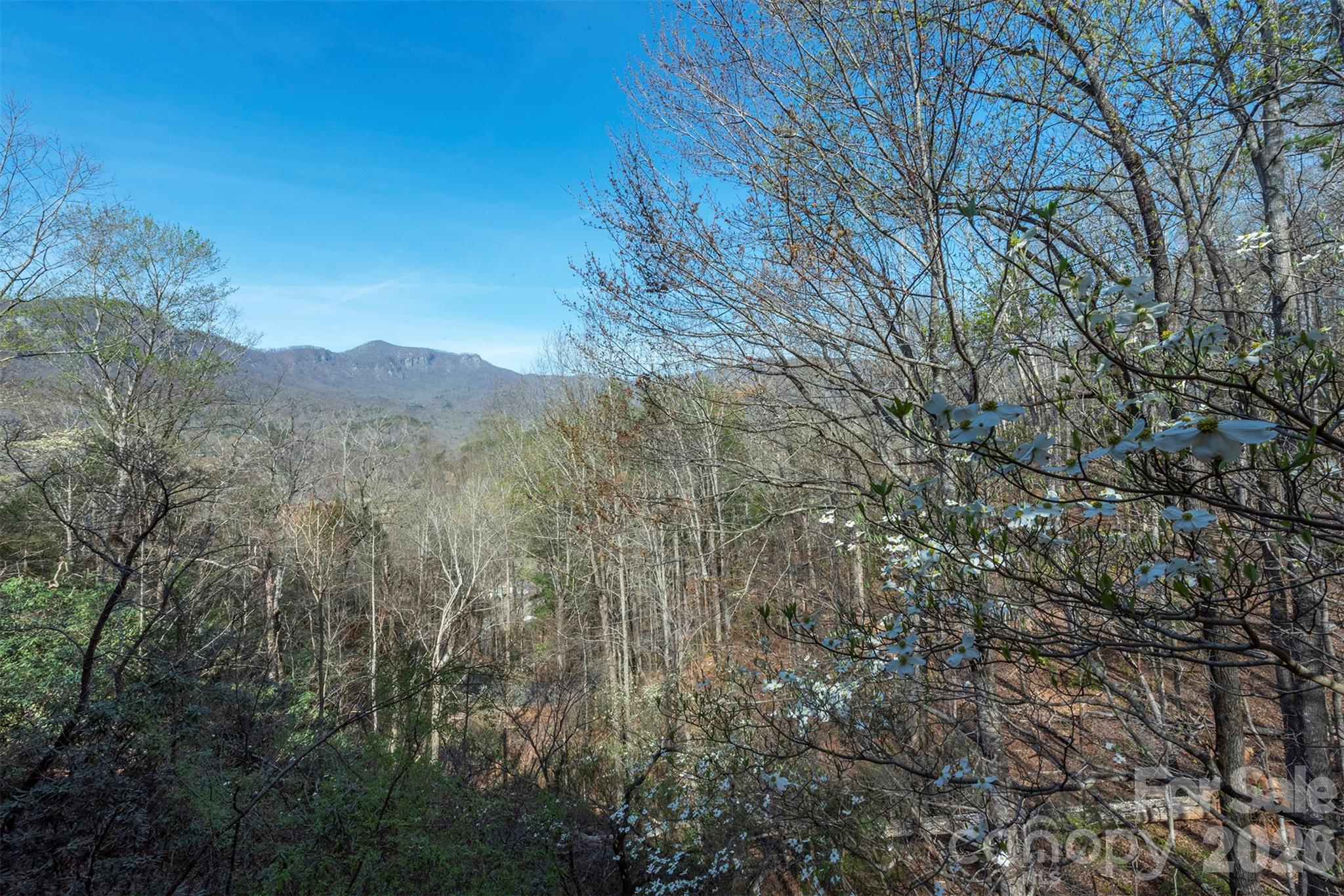 145 White Pine Drive — Lake Lure
