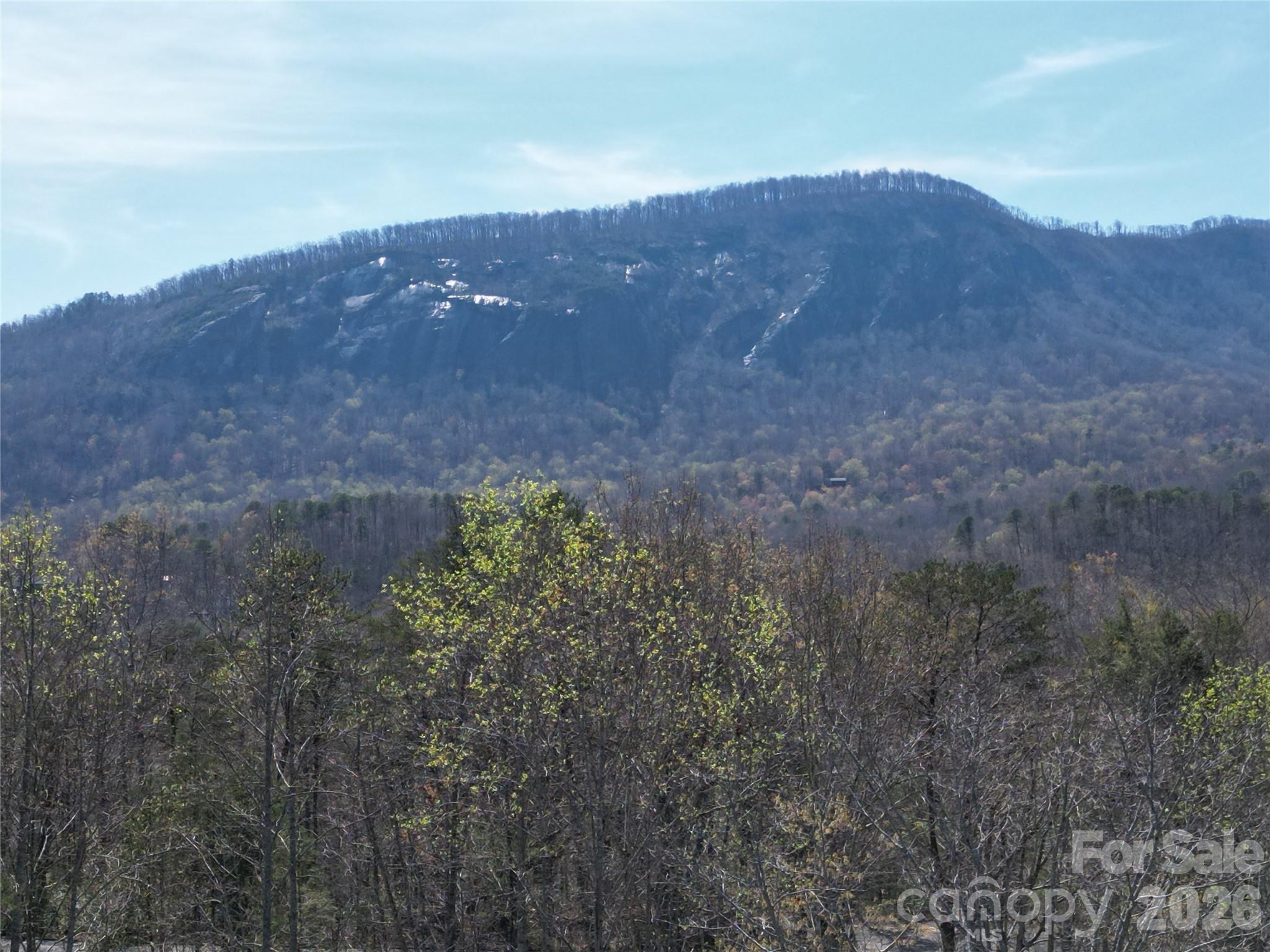 145 White Pine Drive — Lake Lure