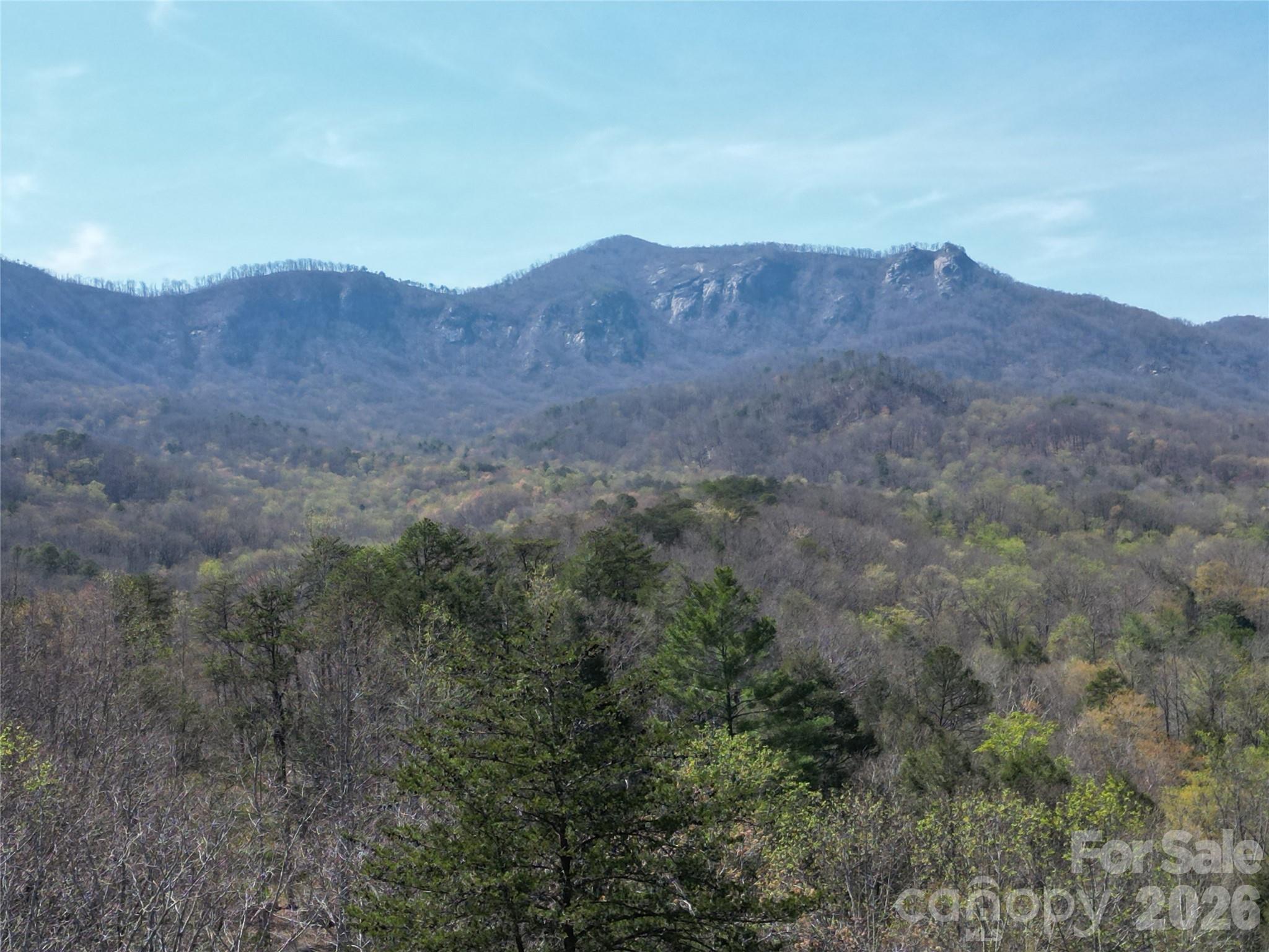 145 White Pine Drive — Lake Lure