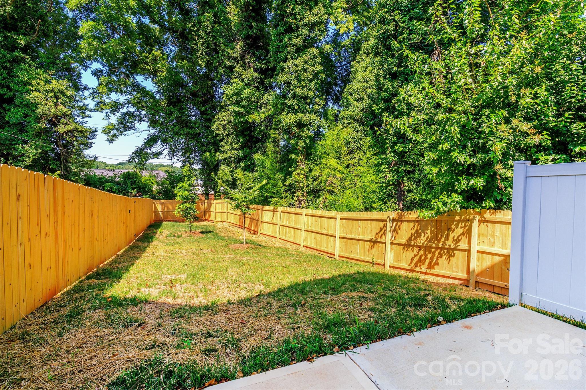 2521 Elon Street — Charlotte