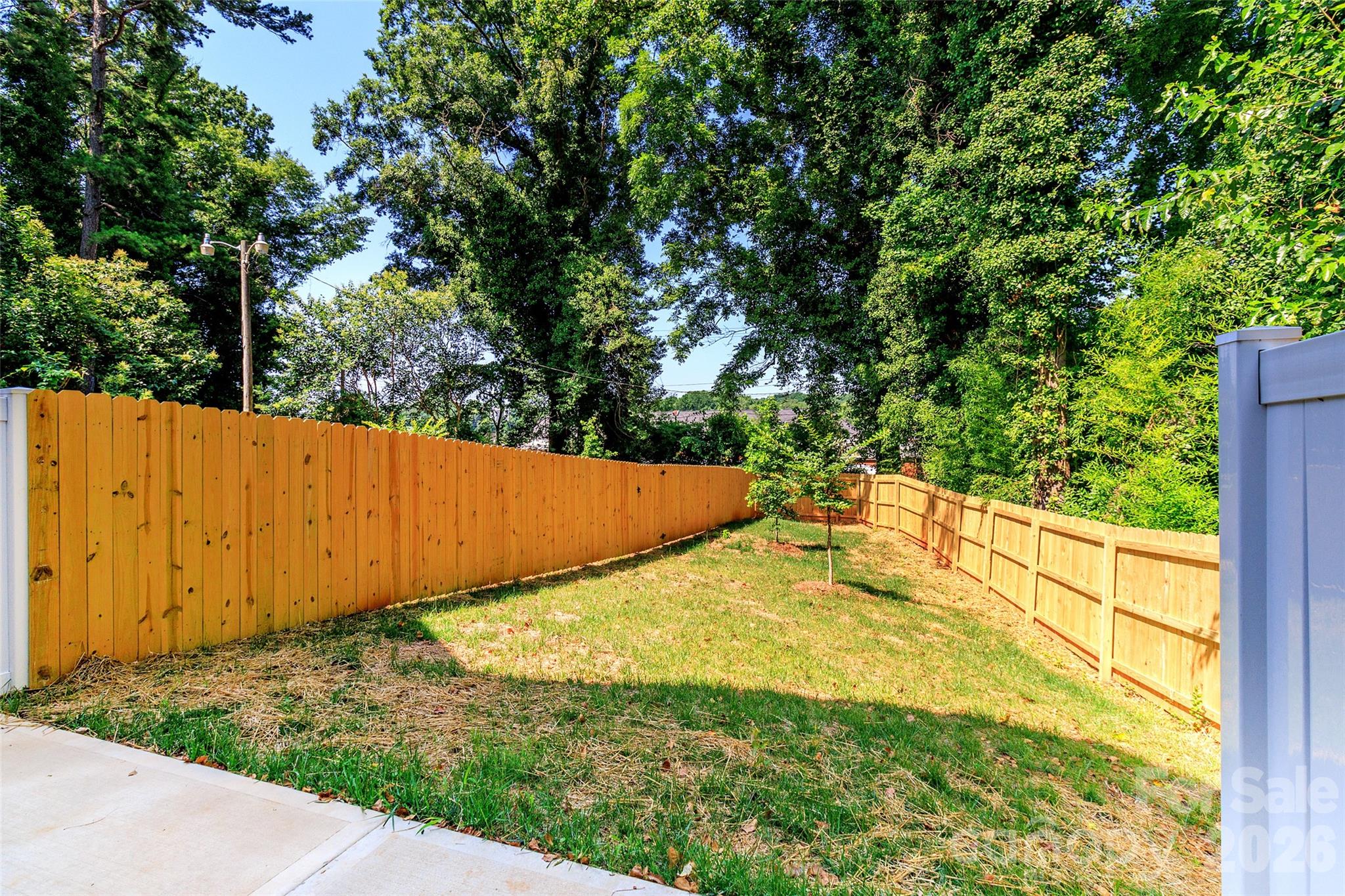 2521 Elon Street — Charlotte