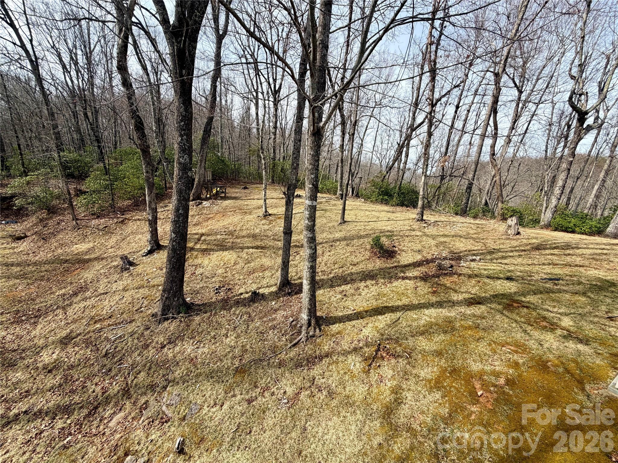 288 Willow Lane — Rosman