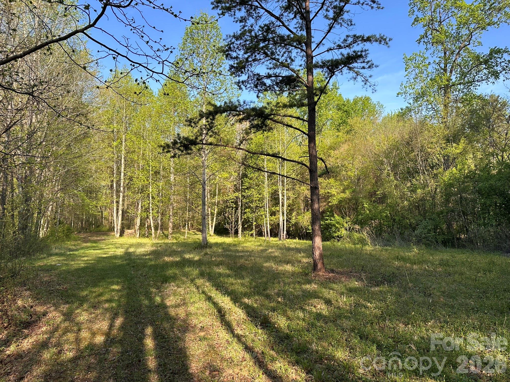 3506 Hayden Drive — Charlotte