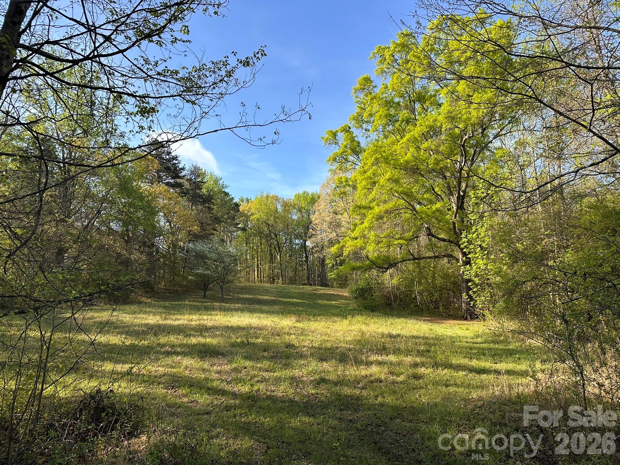3506 Hayden Drive — Charlotte