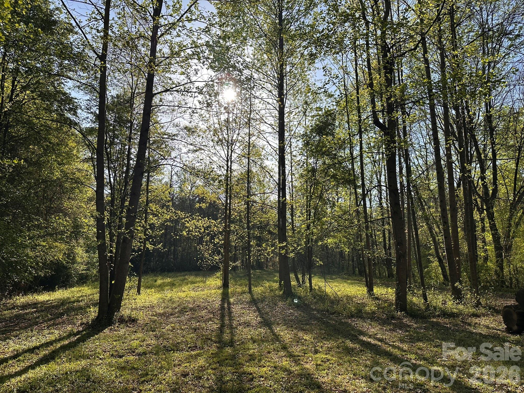 3506 Hayden Drive — Charlotte