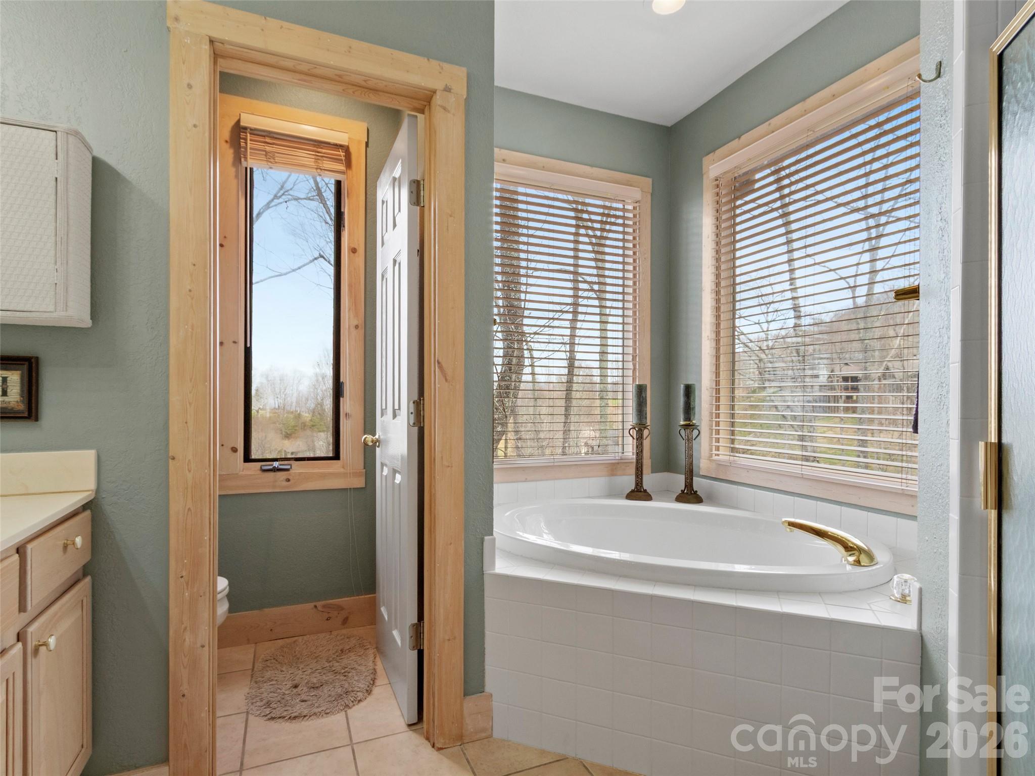 2163 Mountain Air Drive — Burnsville