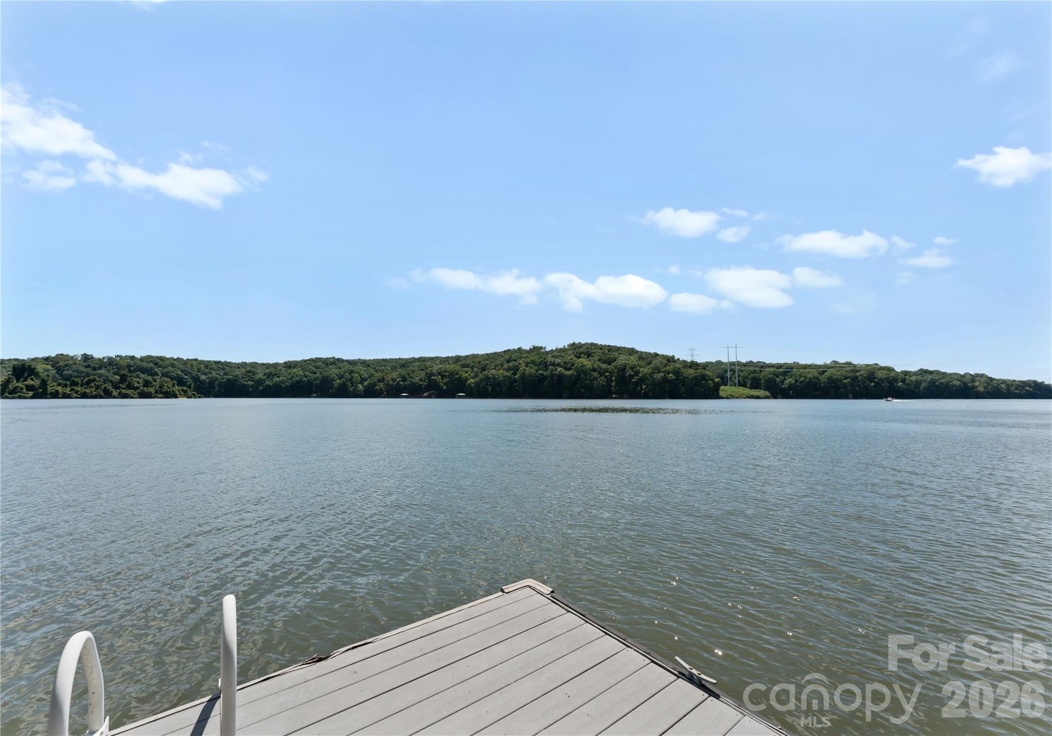 3251 Lake Pointe Drive — Belmont