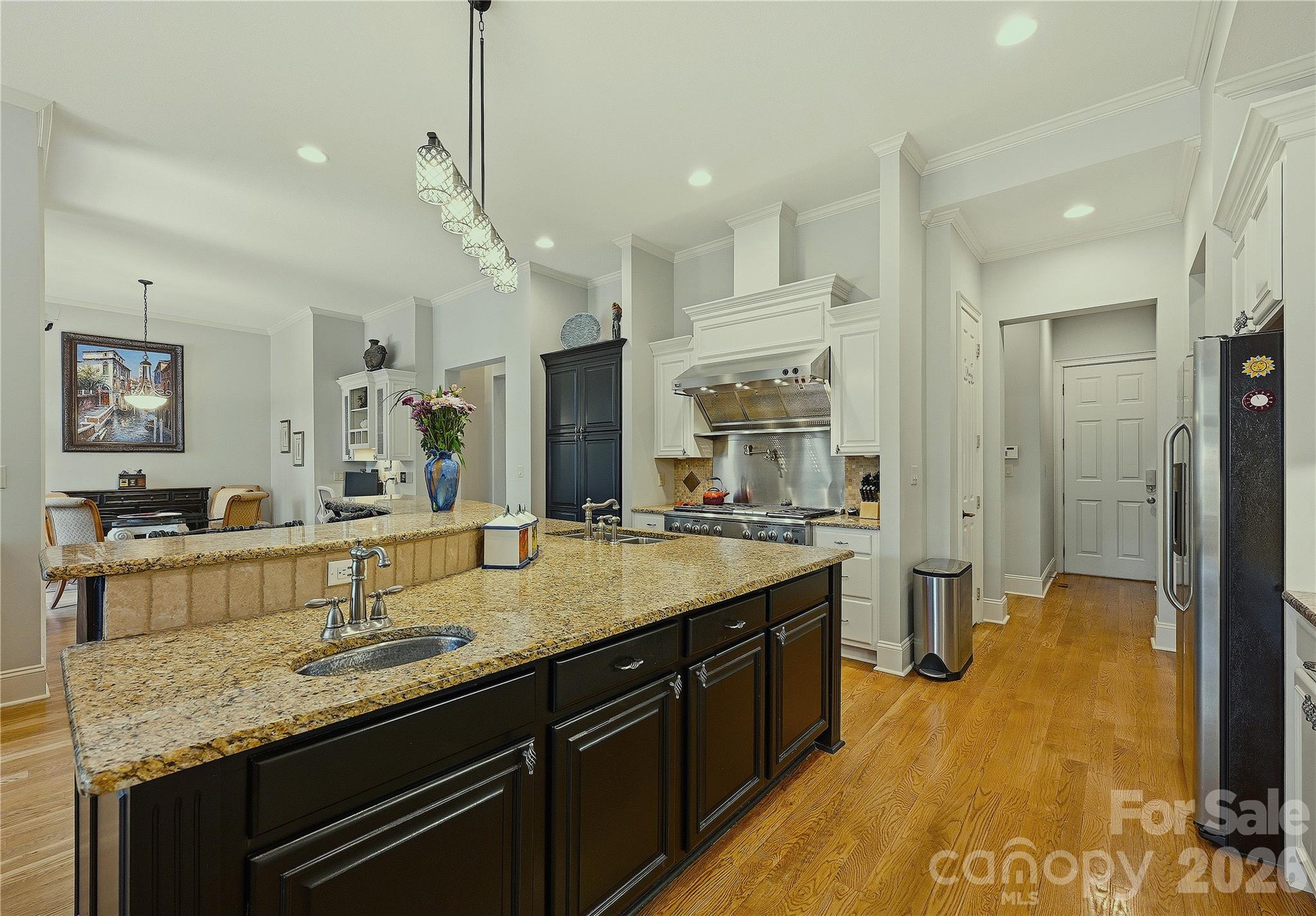 163 W Maranta Road — Mooresville