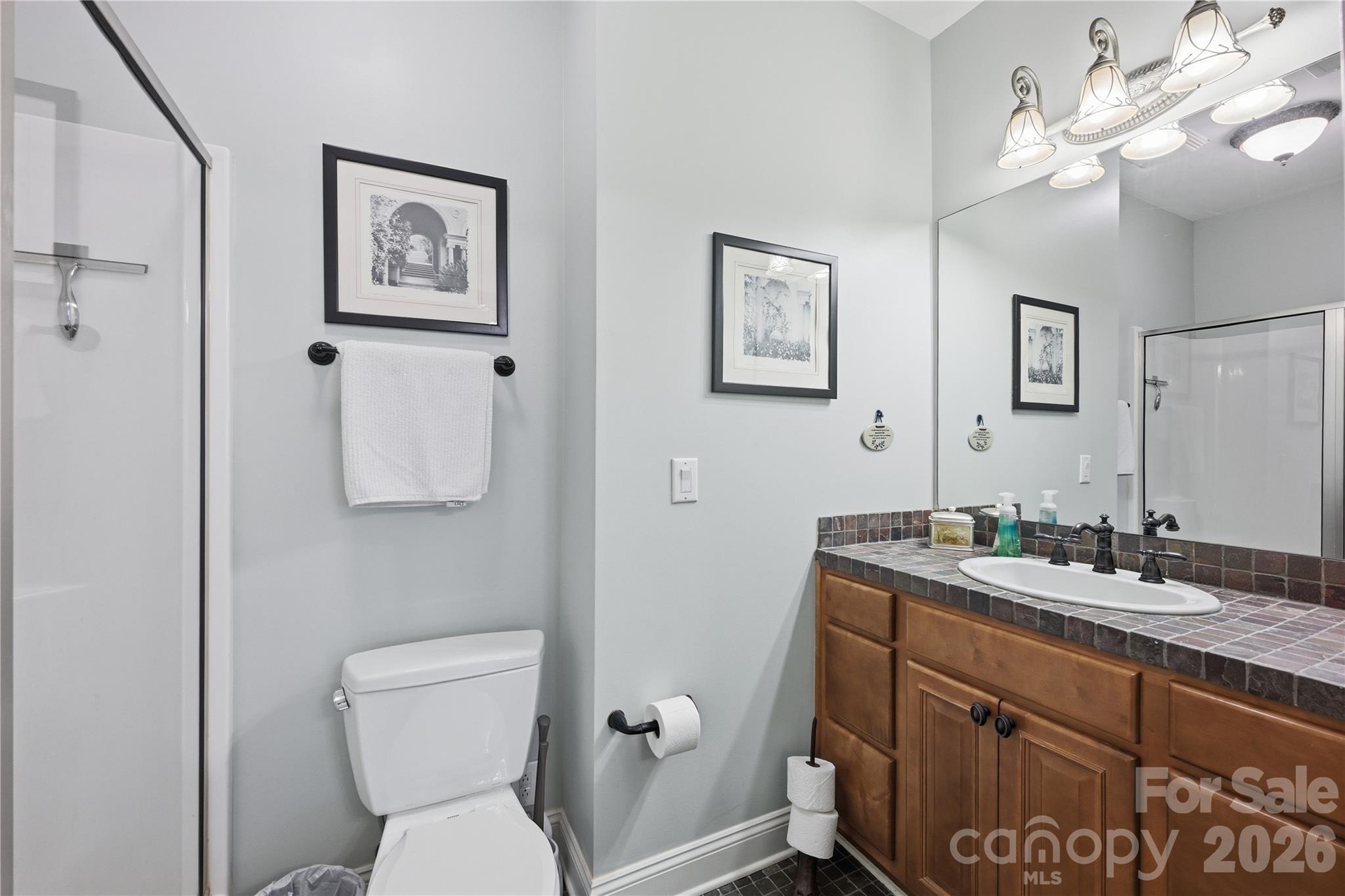 163 W Maranta Road — Mooresville
