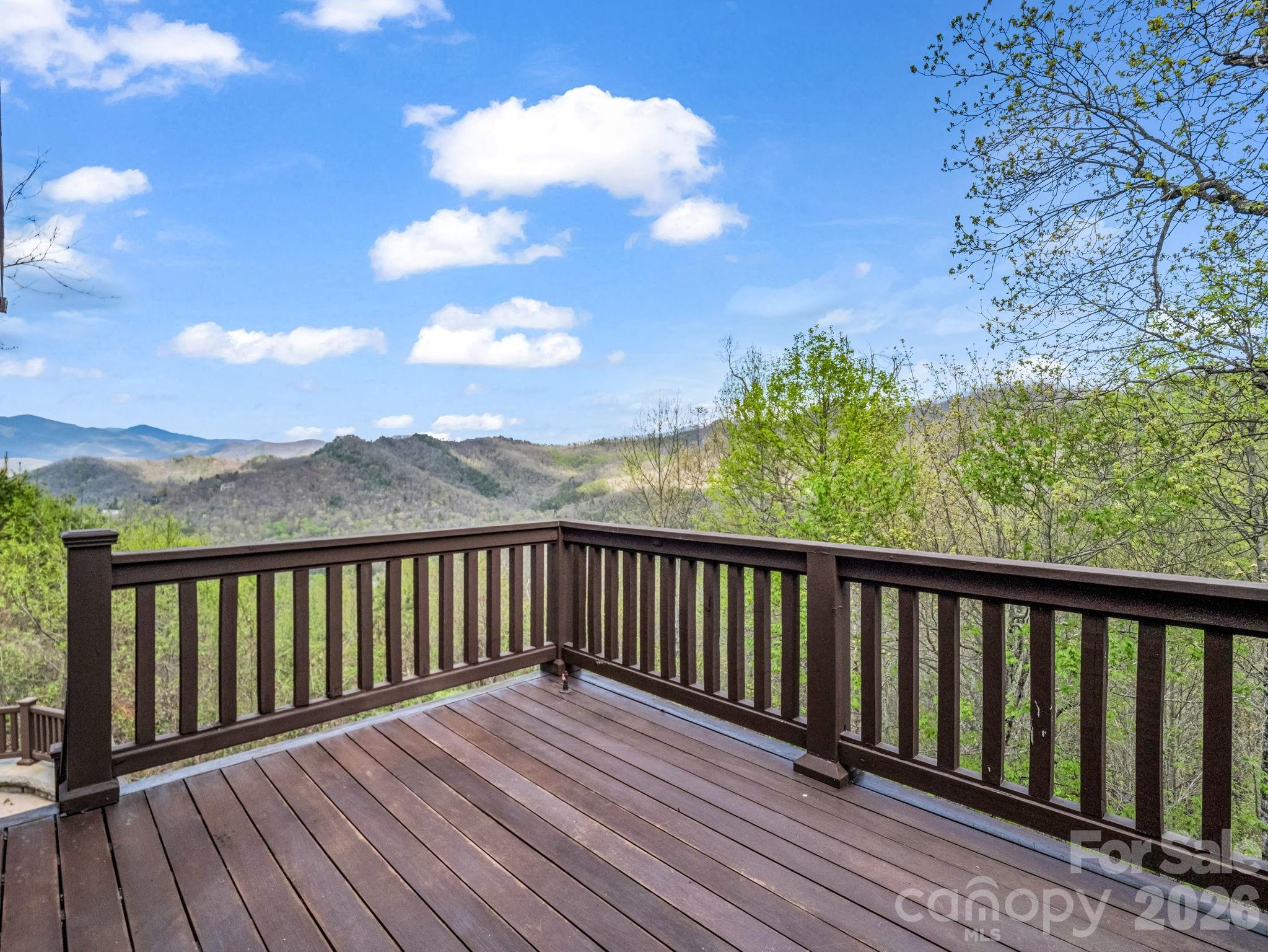 29 Crockett Ridge Road — Black Mountain