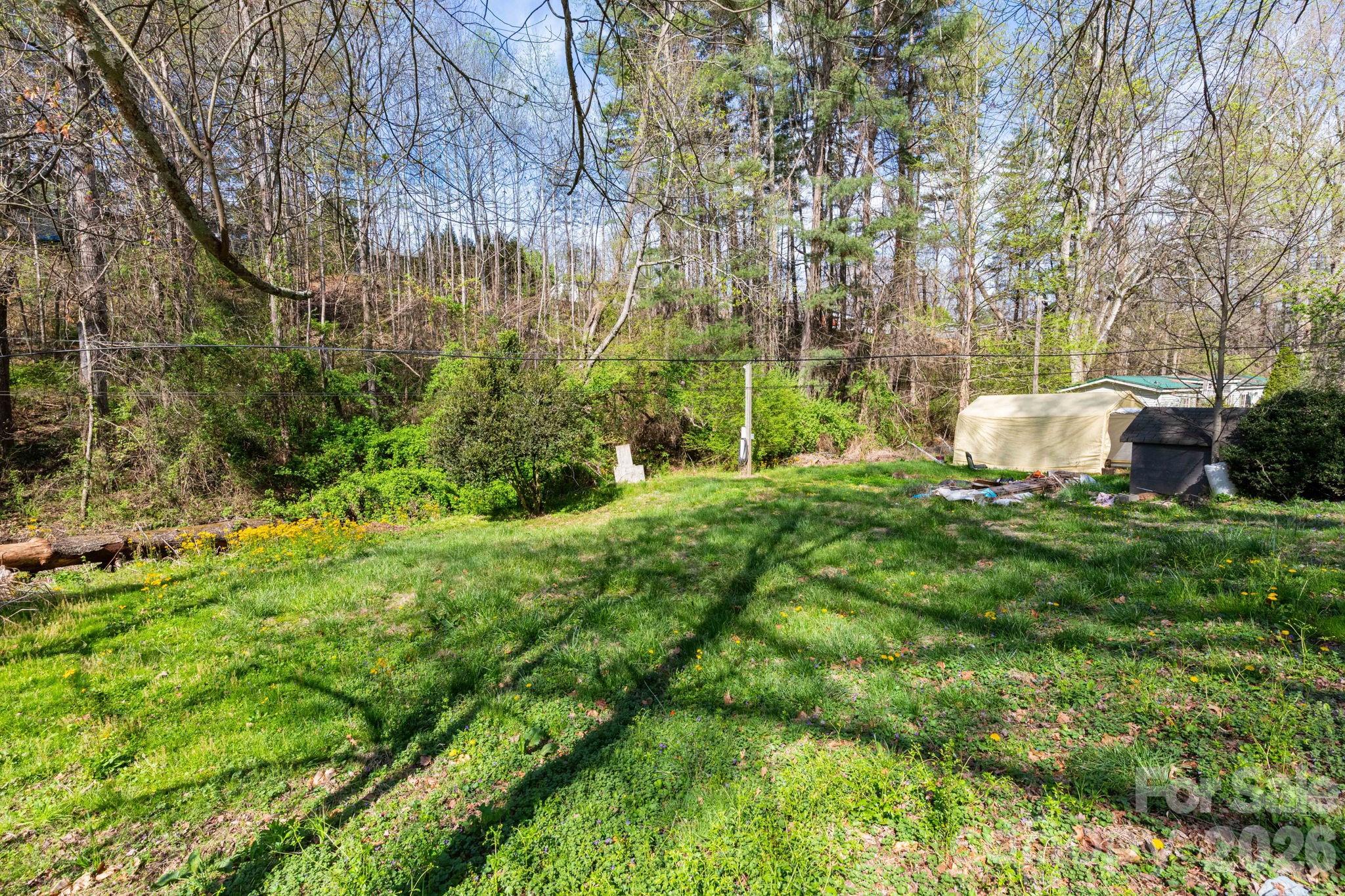 135 Sardis Drive — Asheville