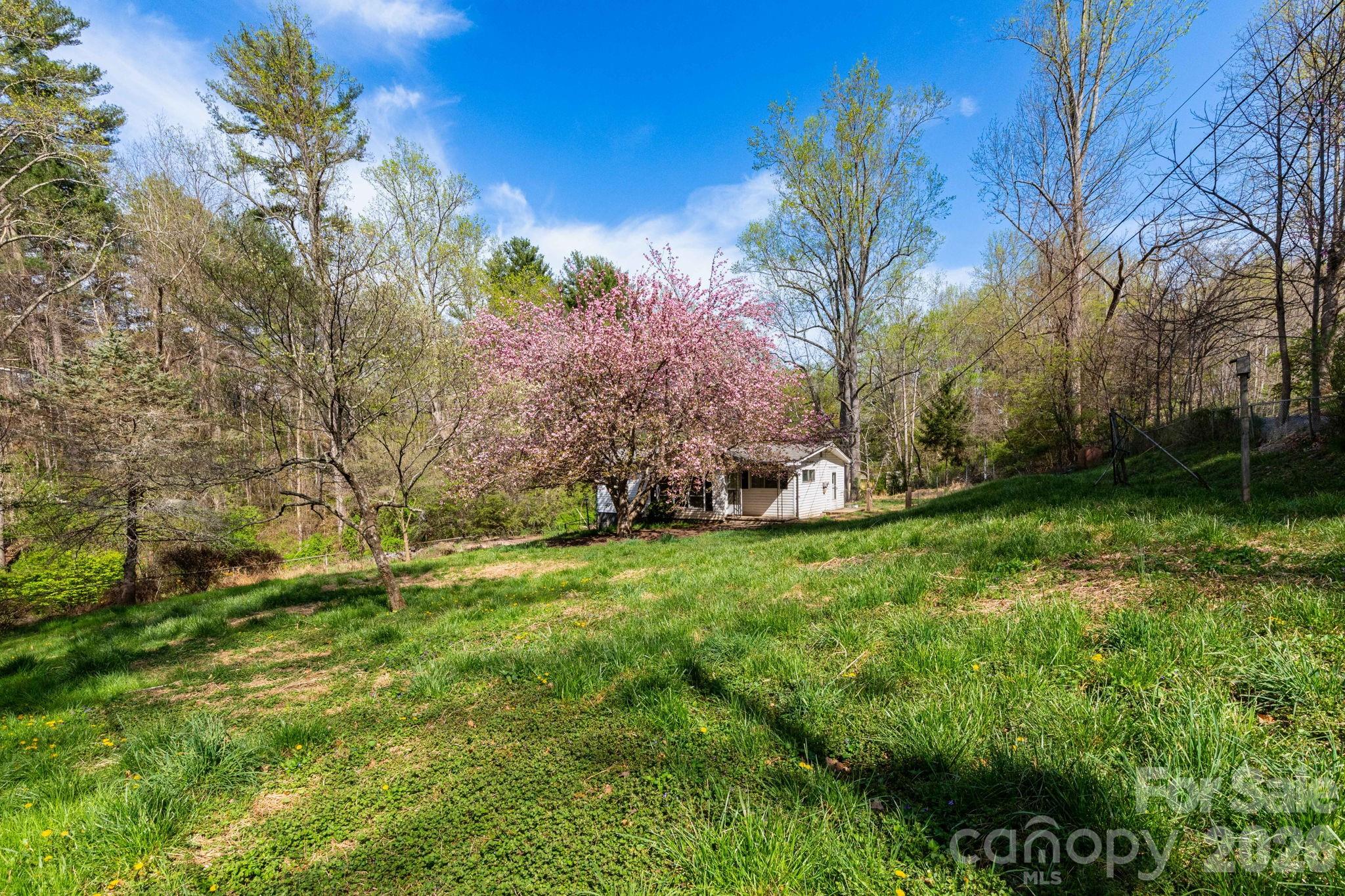 135 Sardis Drive — Asheville