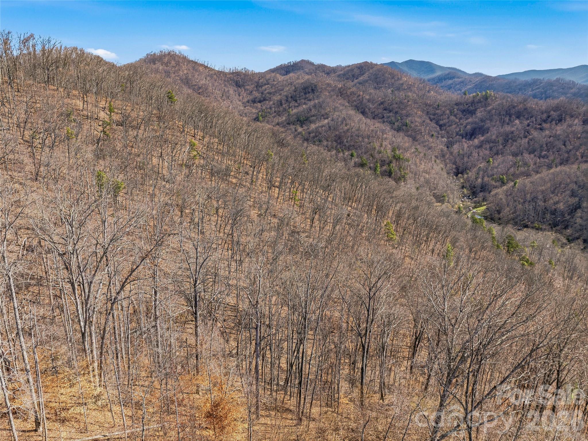182 Whittemore Branch Road — Barnardsville