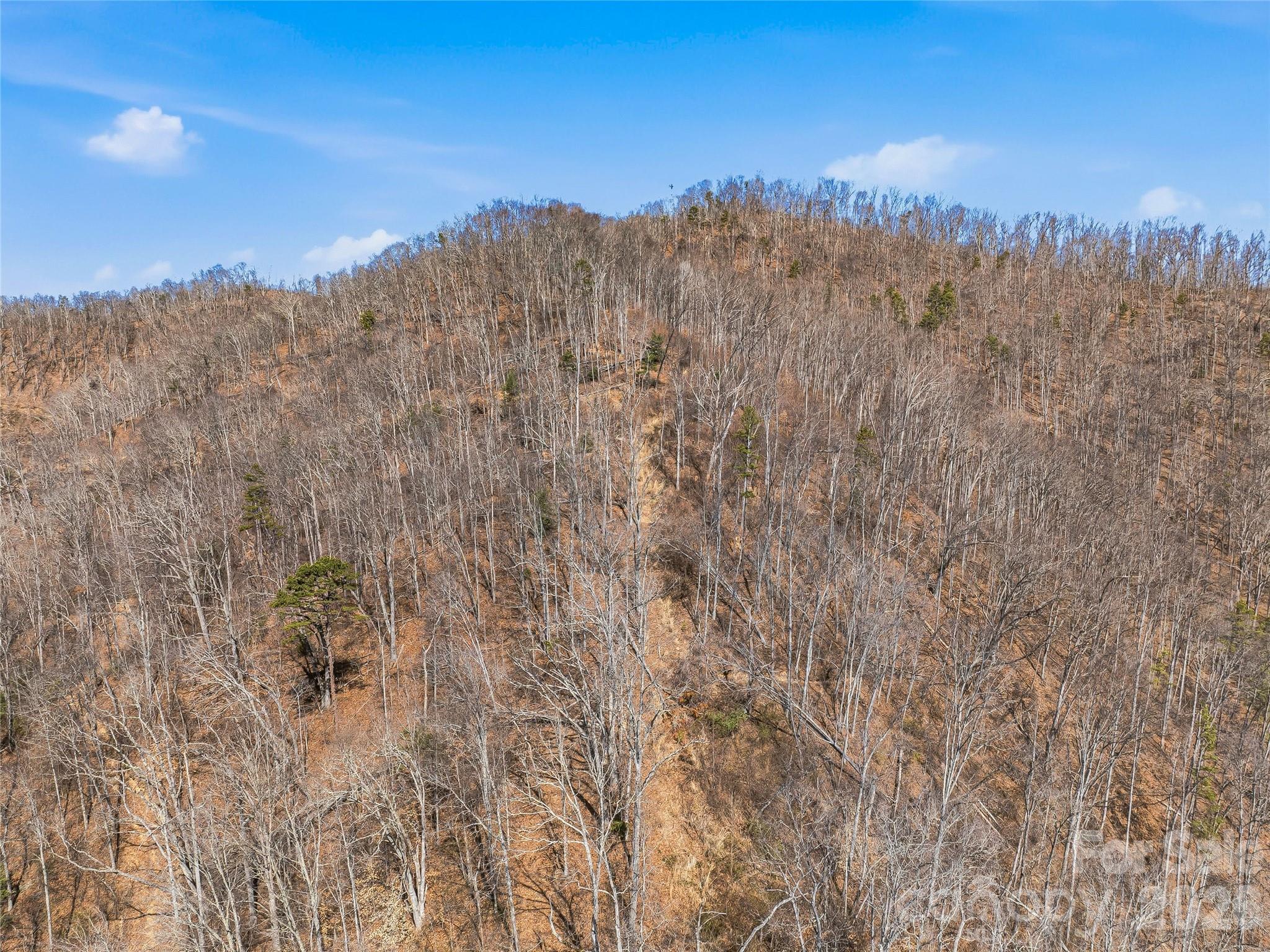 182 Whittemore Branch Road — Barnardsville