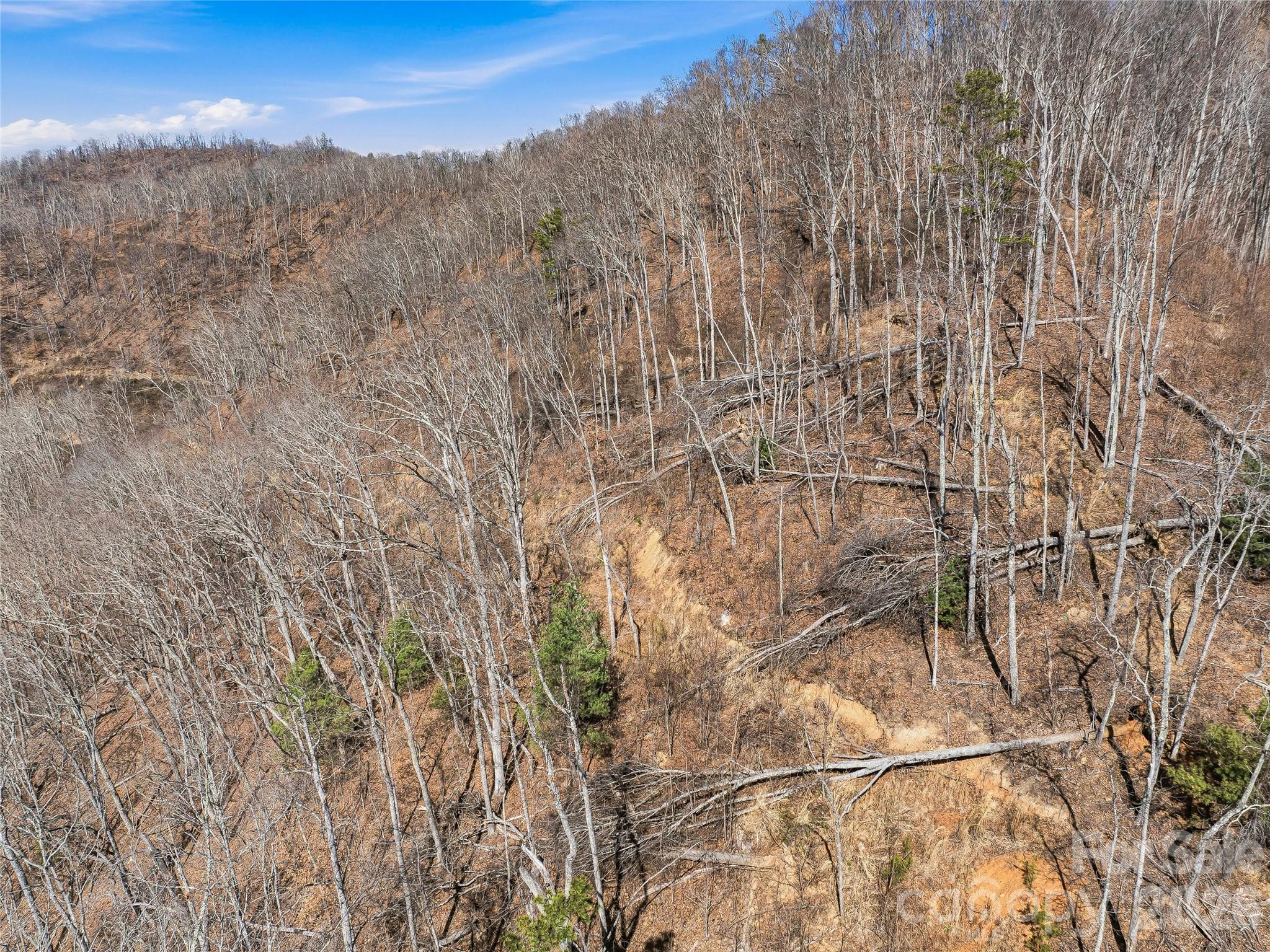 182 Whittemore Branch Road — Barnardsville