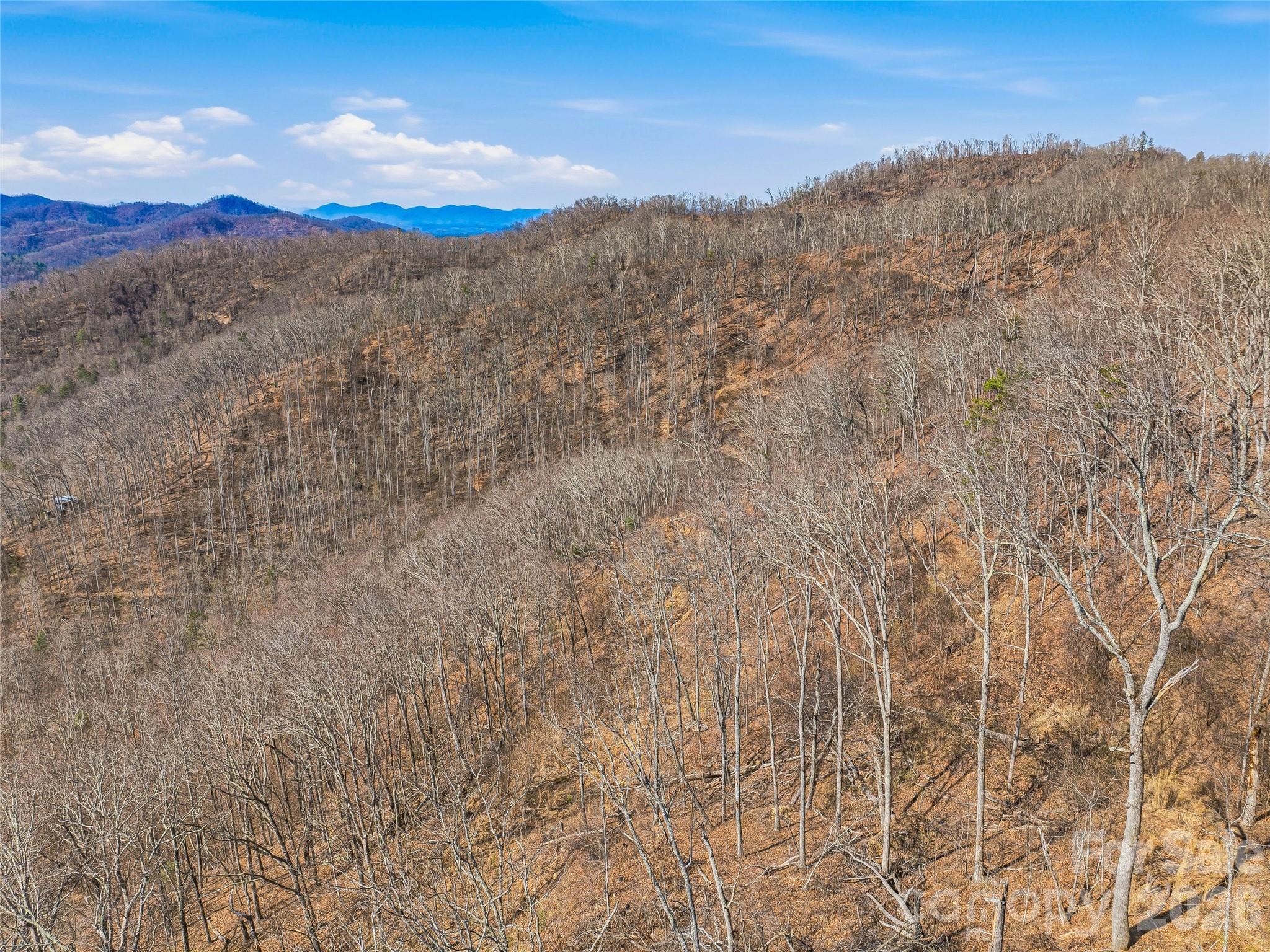 182 Whittemore Branch Road — Barnardsville