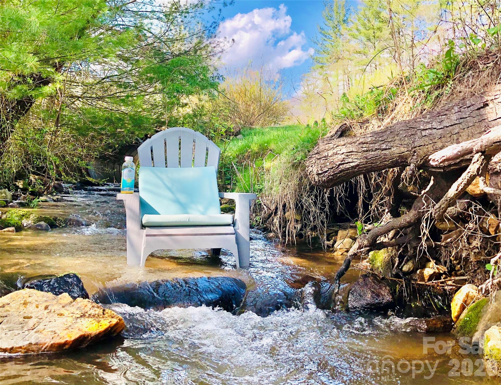 3 Taproot Trail — Barnardsville