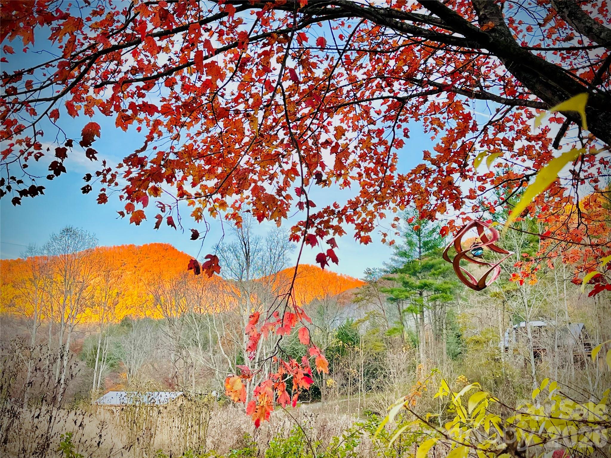 3 Taproot Trail — Barnardsville