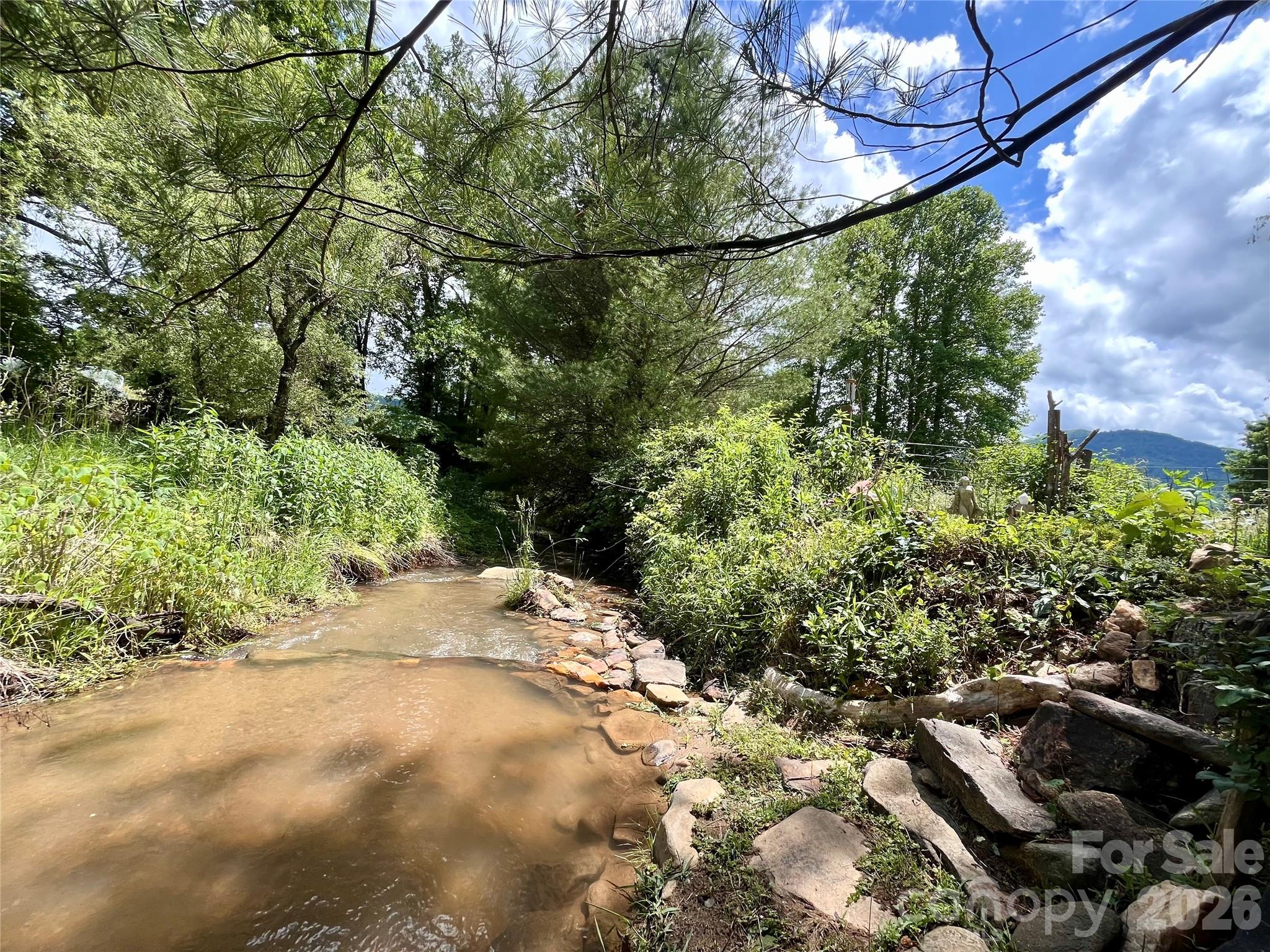 3 Taproot Trail — Barnardsville