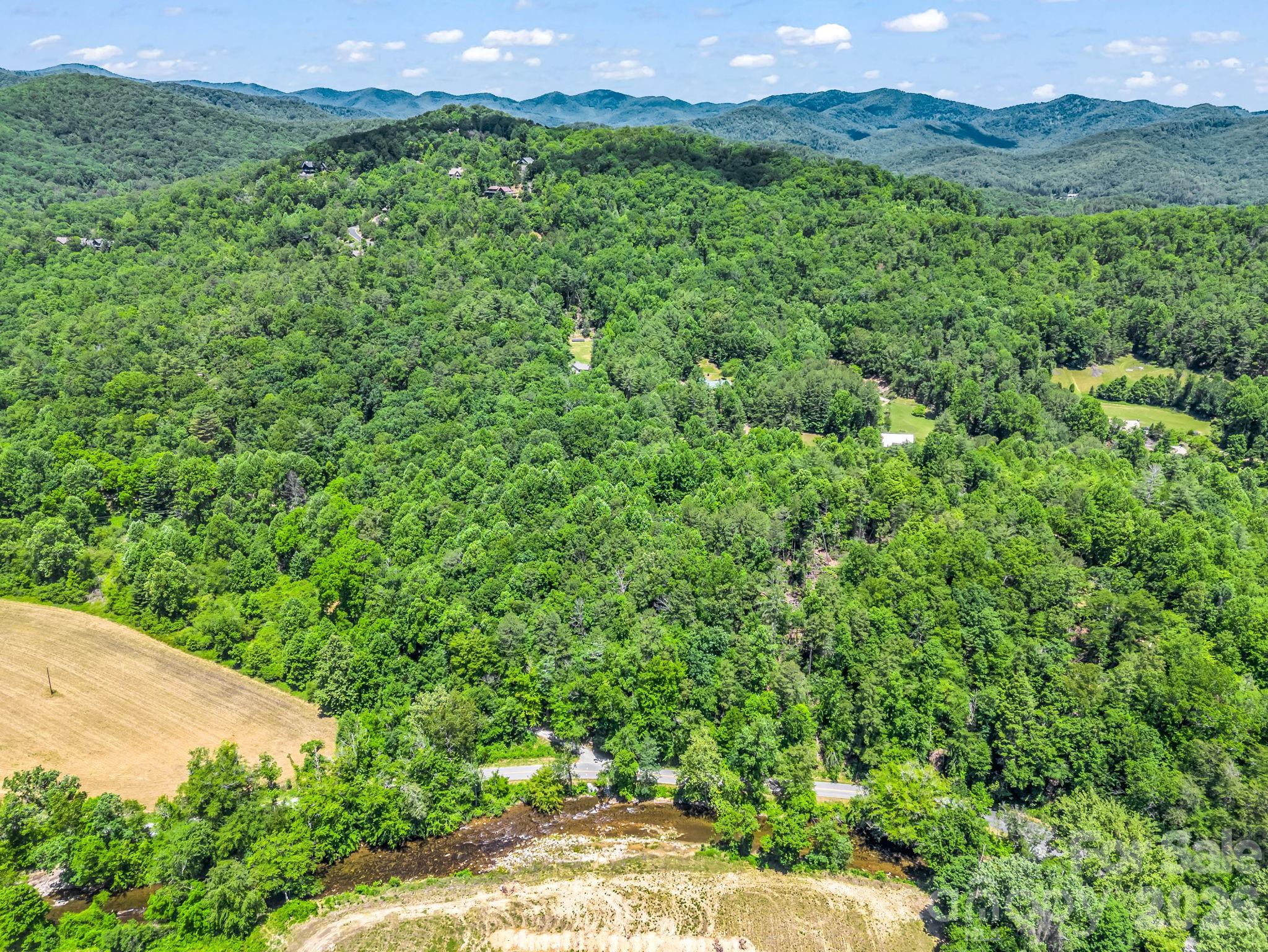 144 Old Homeplace Lane — Mills River