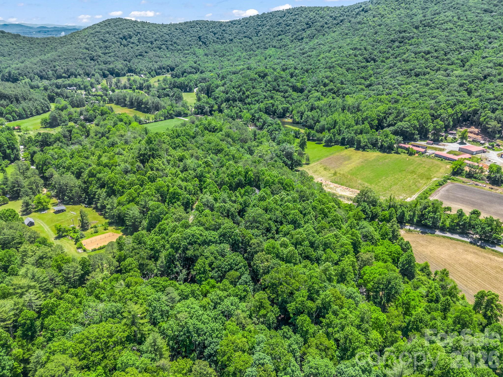 144 Old Homeplace Lane — Mills River