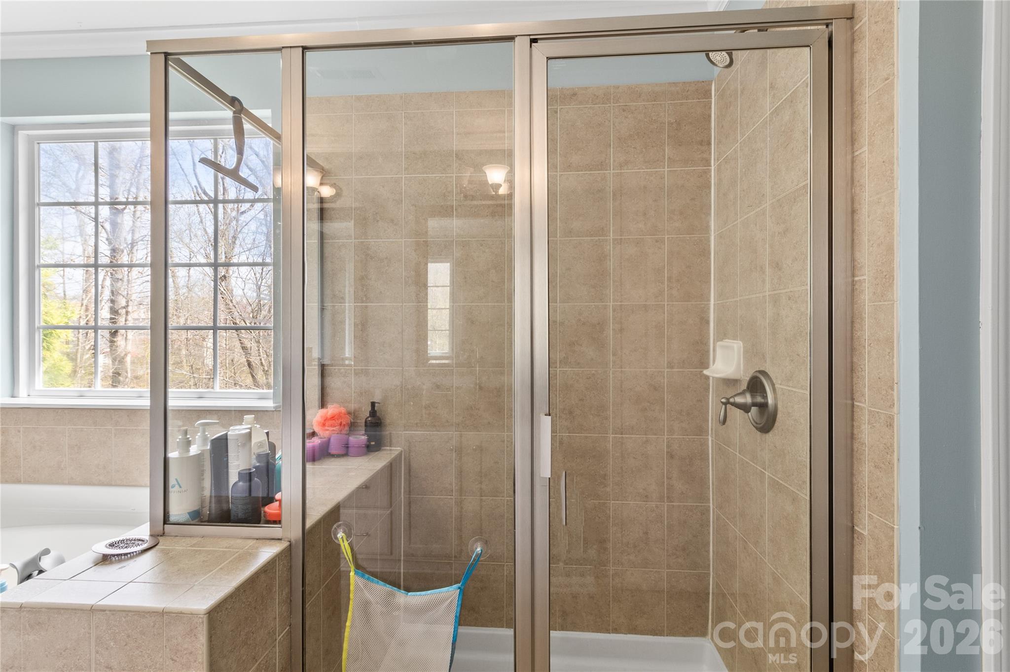 7030 Carrington Pointe Drive — Huntersville