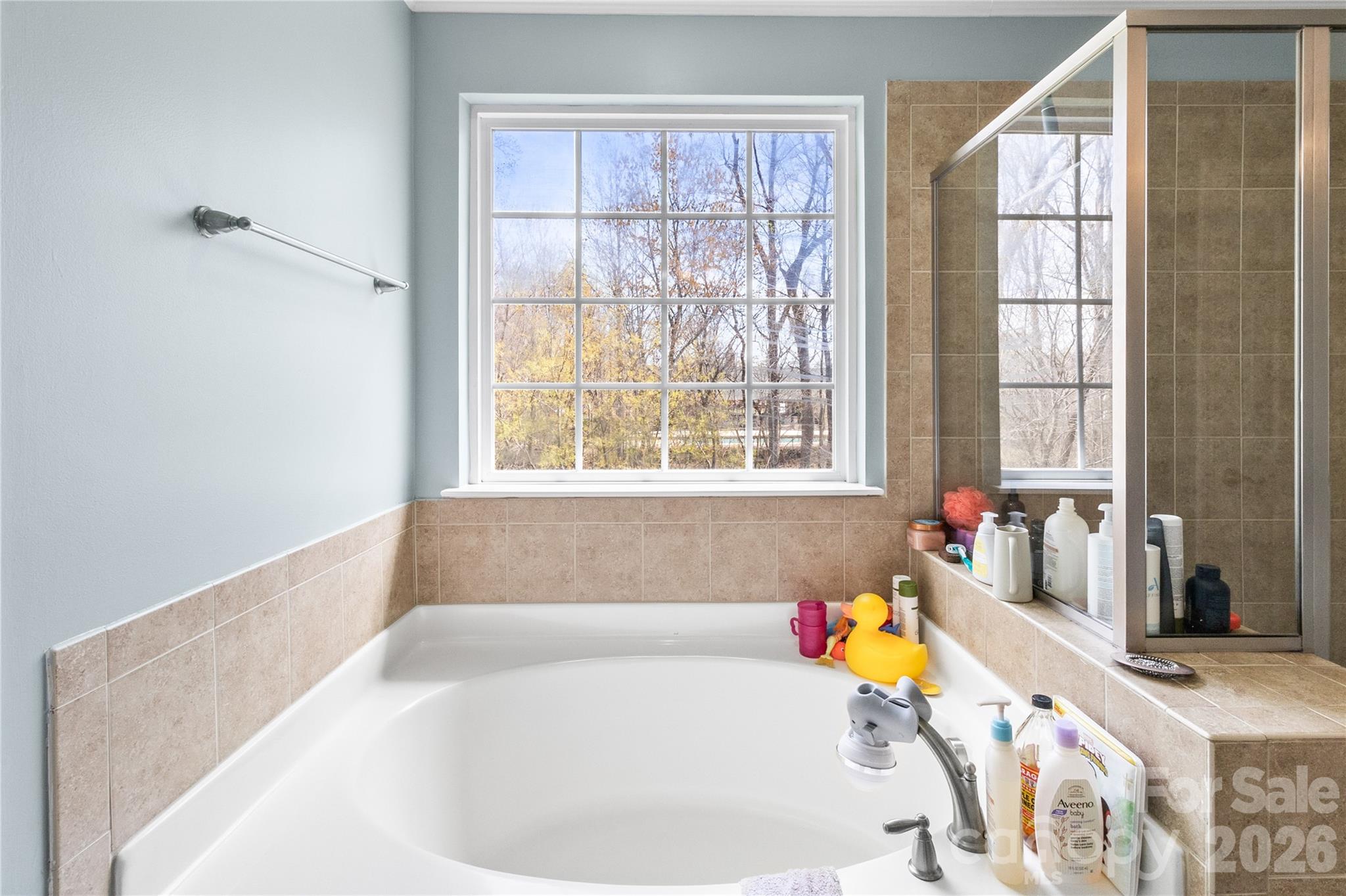 7030 Carrington Pointe Drive — Huntersville
