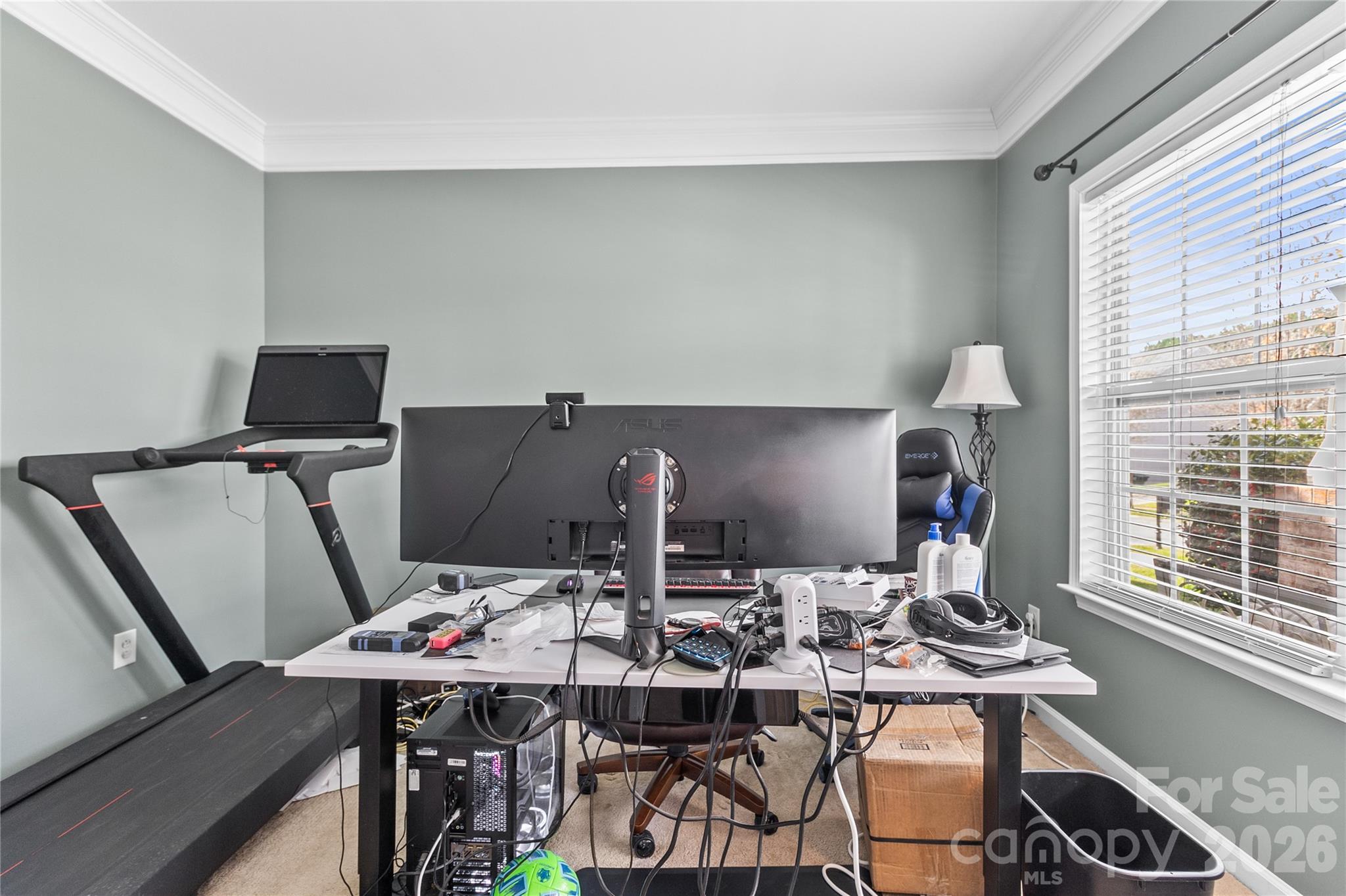 7030 Carrington Pointe Drive — Huntersville
