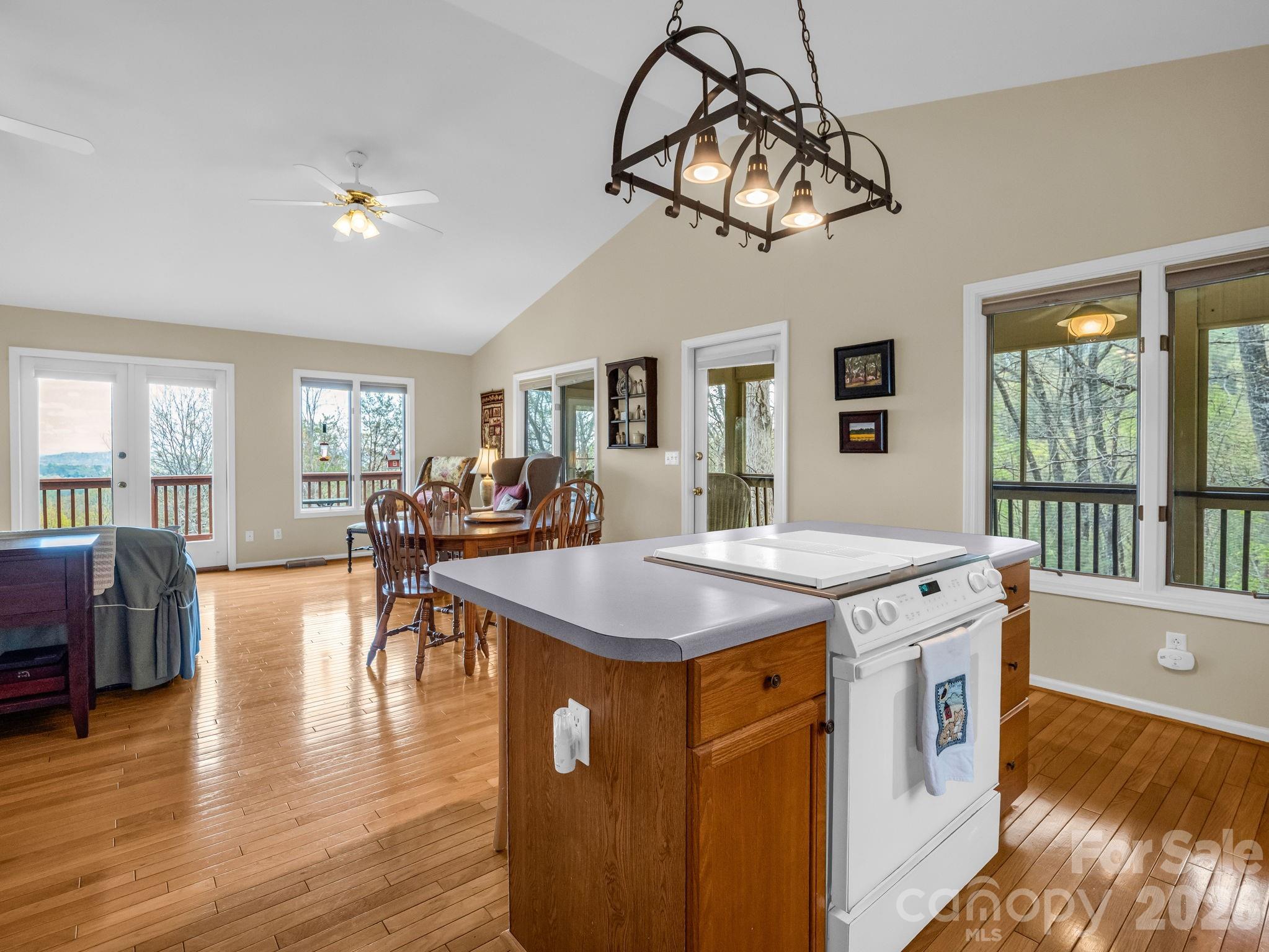 197 Thomas A Edison Road — Lake Lure