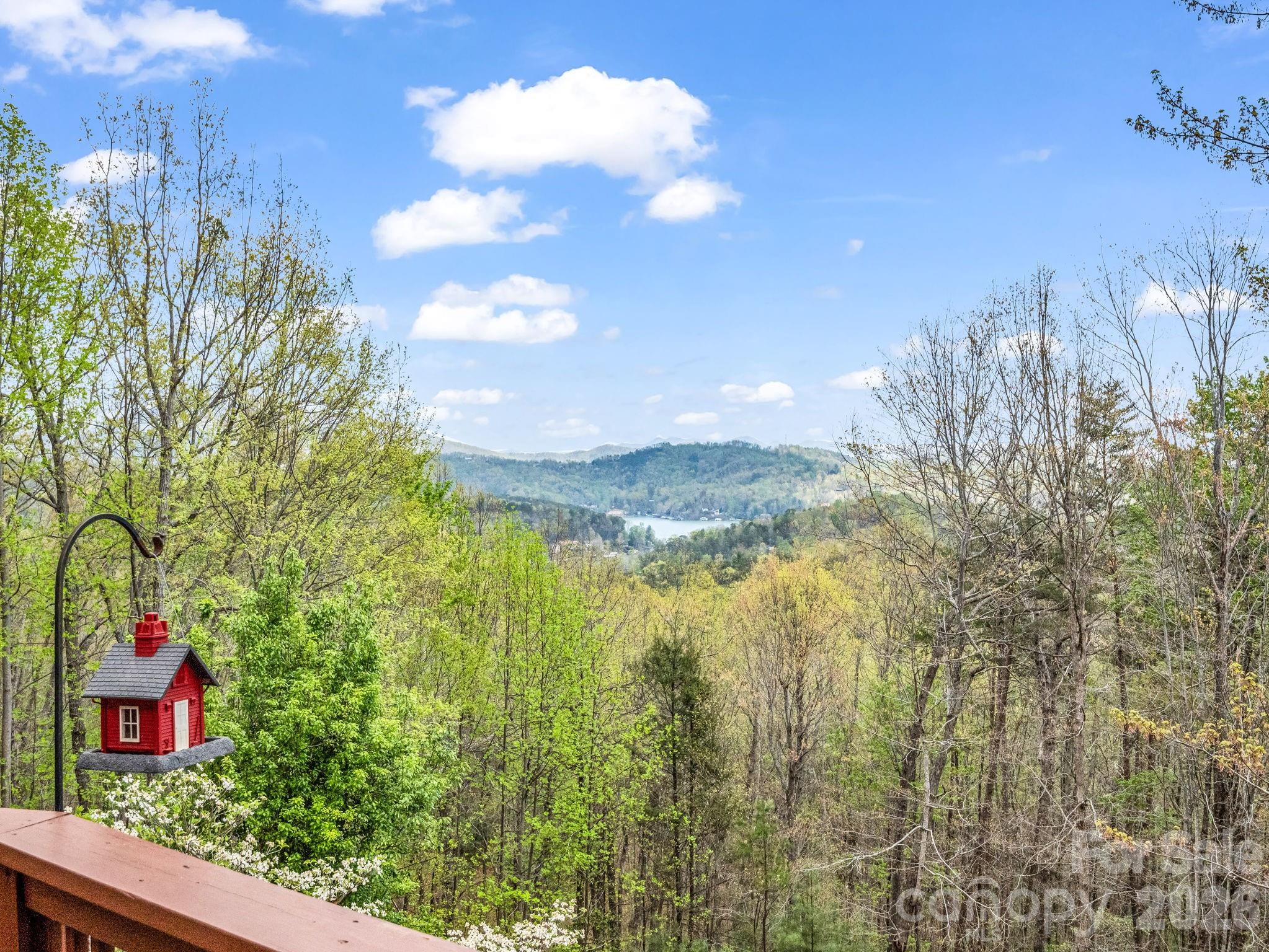 197 Thomas A Edison Road — Lake Lure