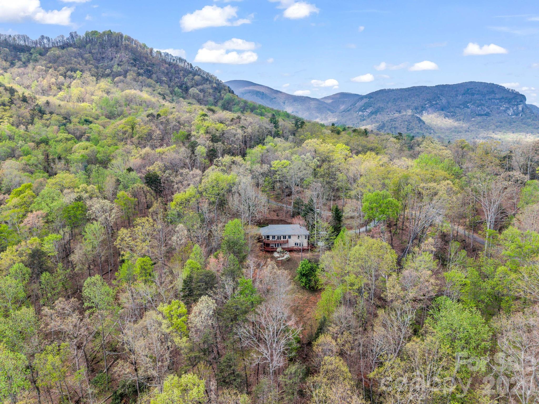 197 Thomas A Edison Road — Lake Lure
