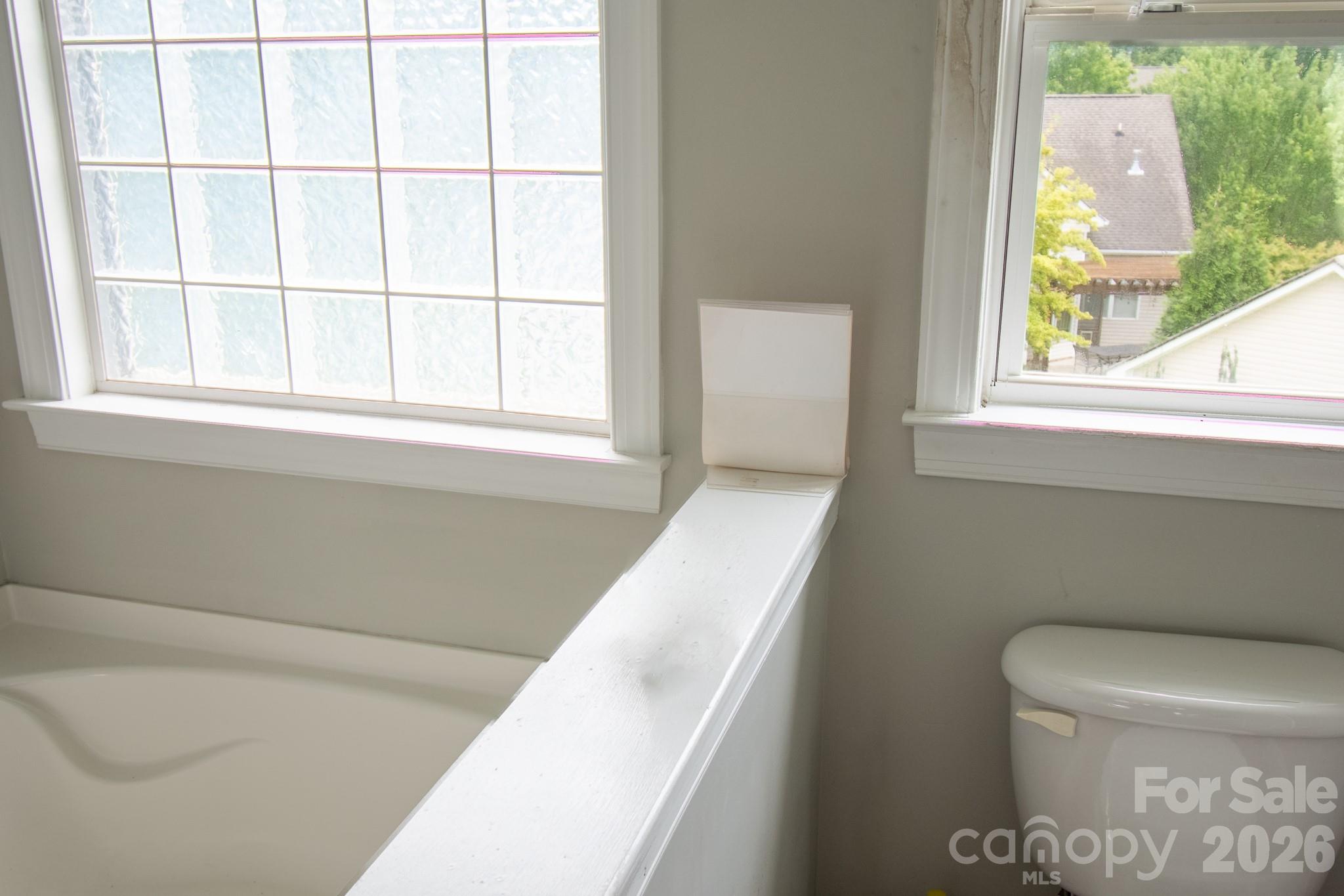 9904 Adelie Court — Cornelius