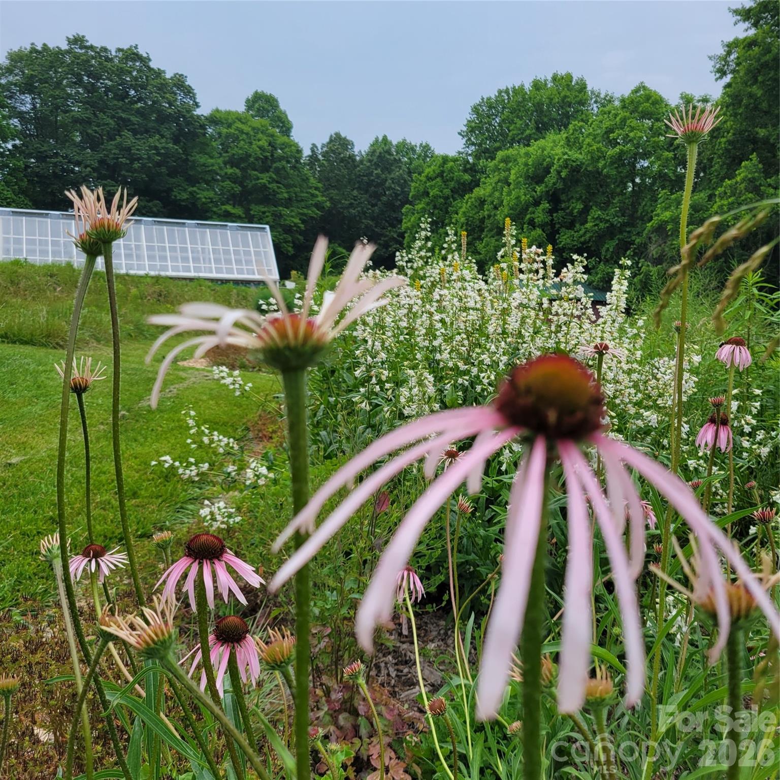 437 Onteora Boulevard — Asheville
