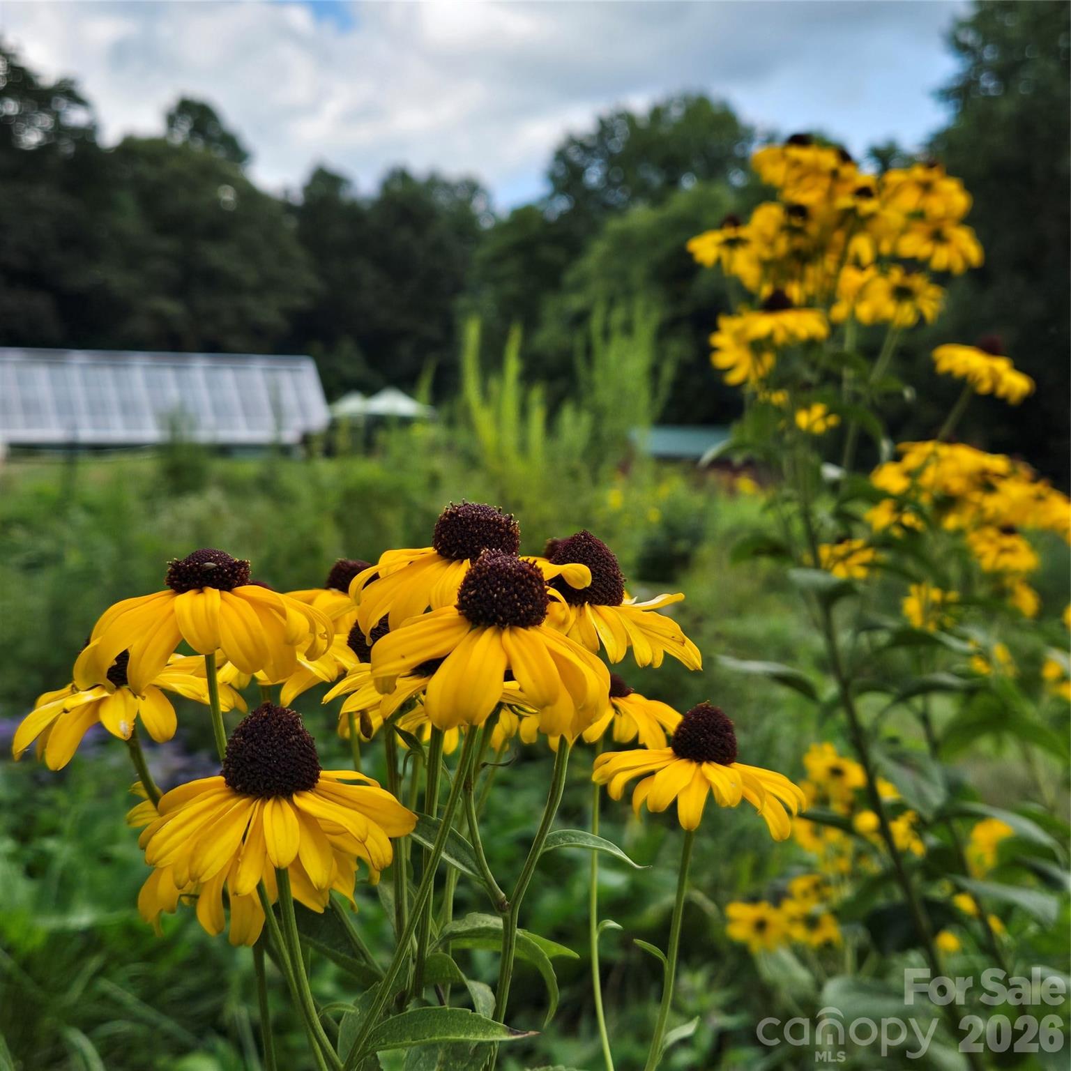 437 Onteora Boulevard — Asheville
