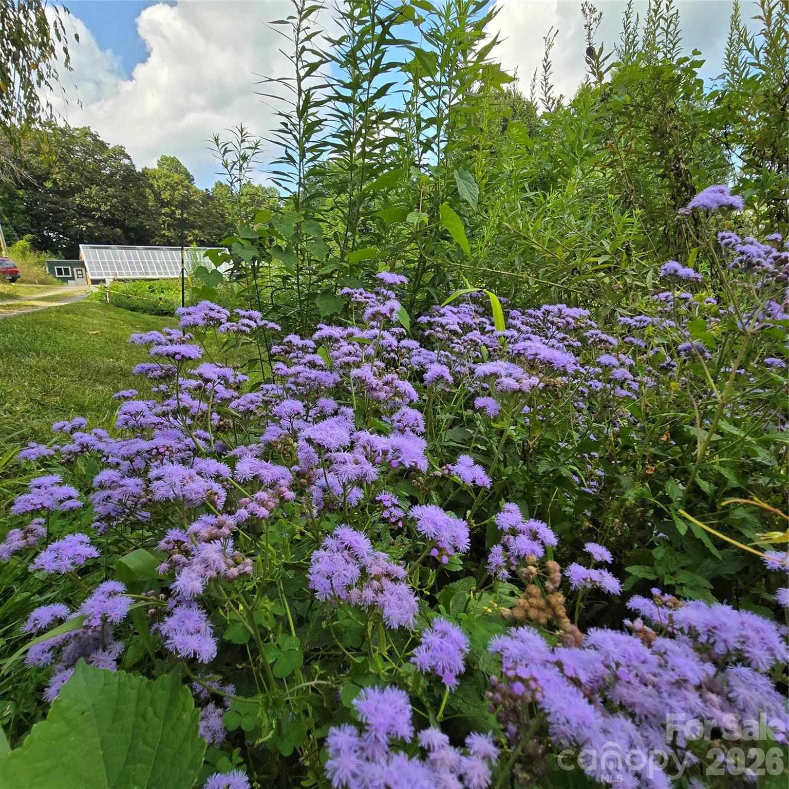 437 Onteora Boulevard — Asheville