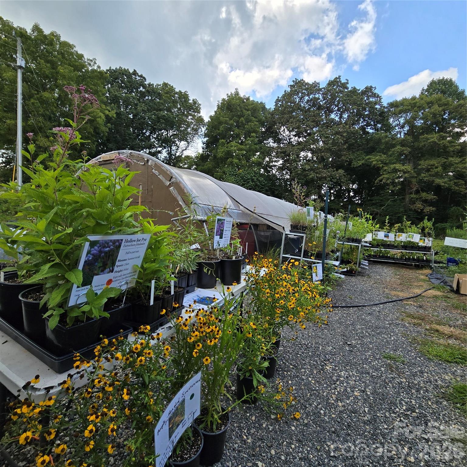 437 Onteora Boulevard — Asheville