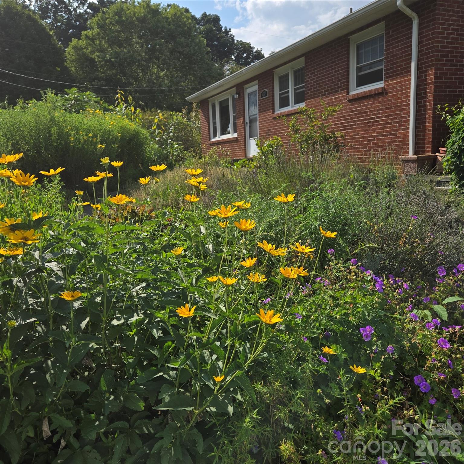 437 Onteora Boulevard — Asheville