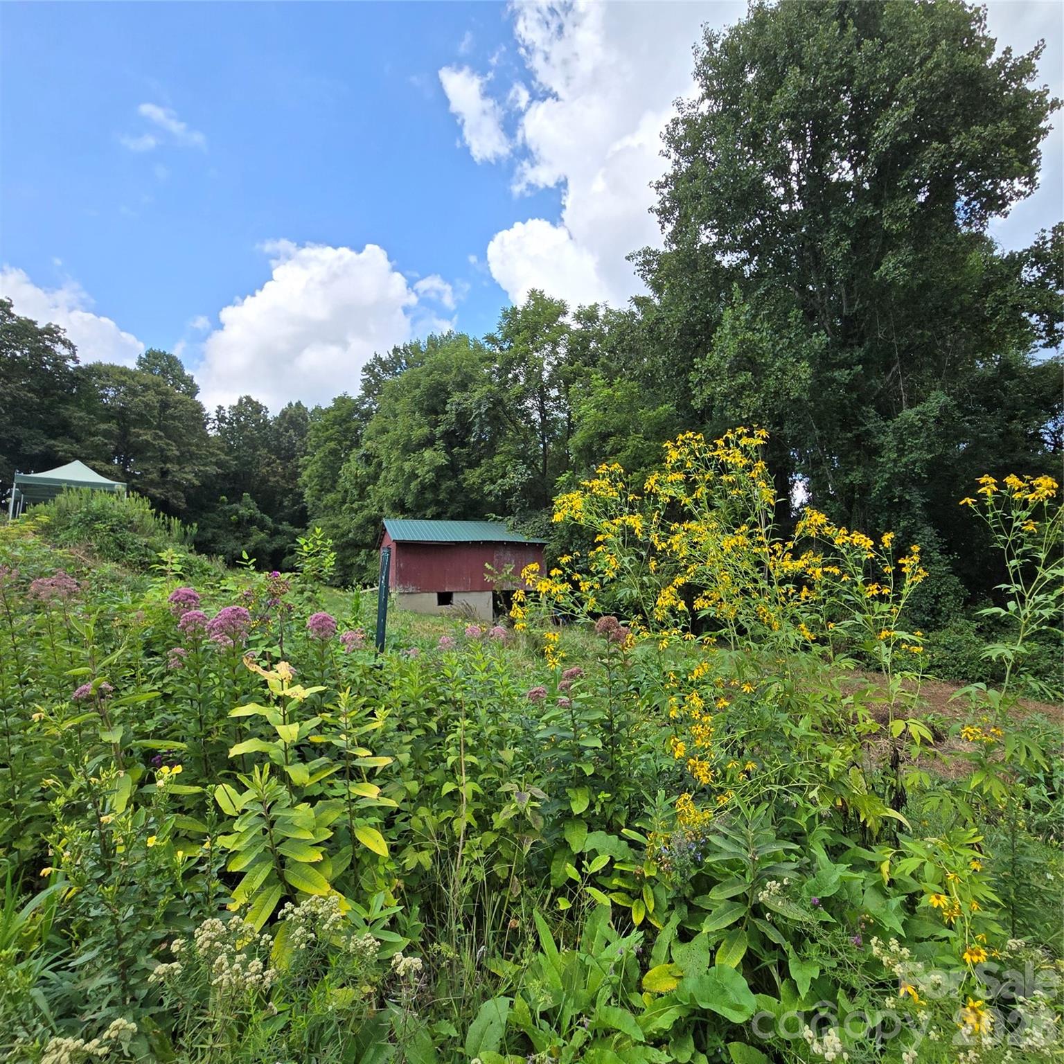 437 Onteora Boulevard — Asheville