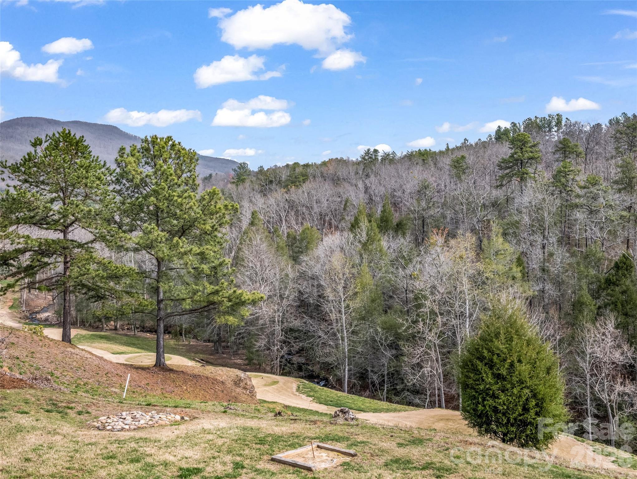 565 Chestertown Drive — Mill Spring
