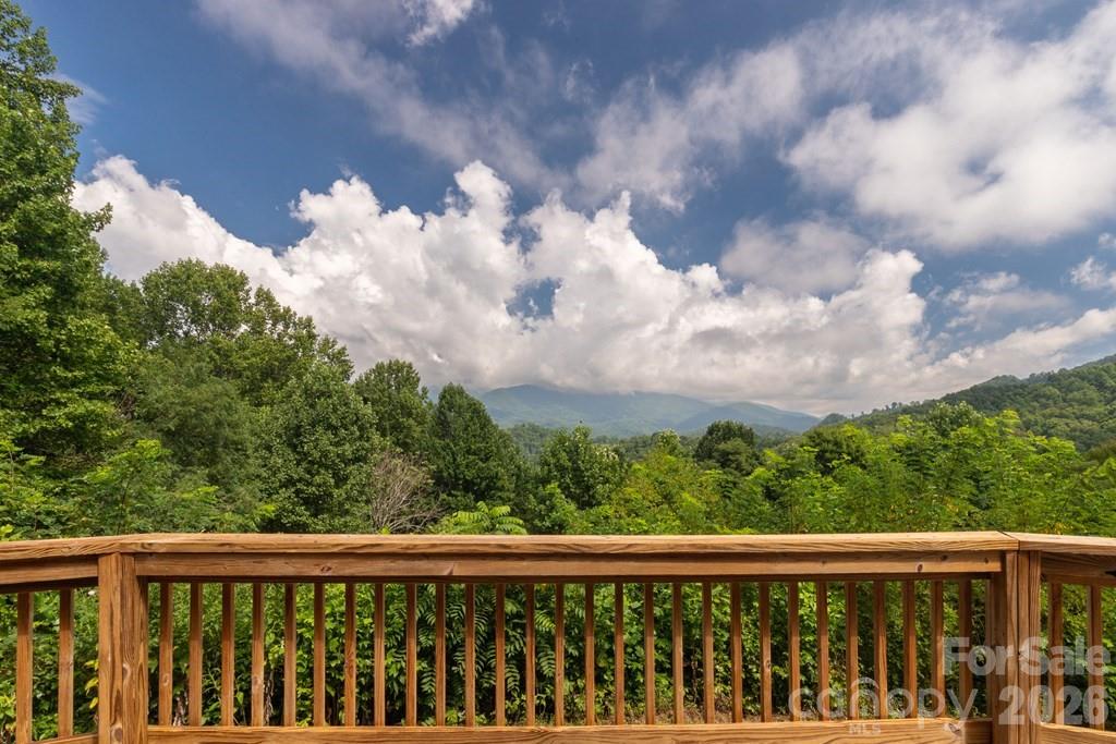417 Quiet Forest Lane — Sylva