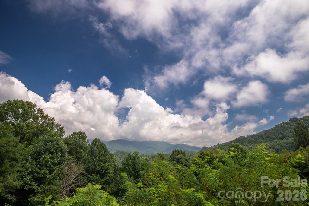 417 Quiet Forest Lane — Sylva
