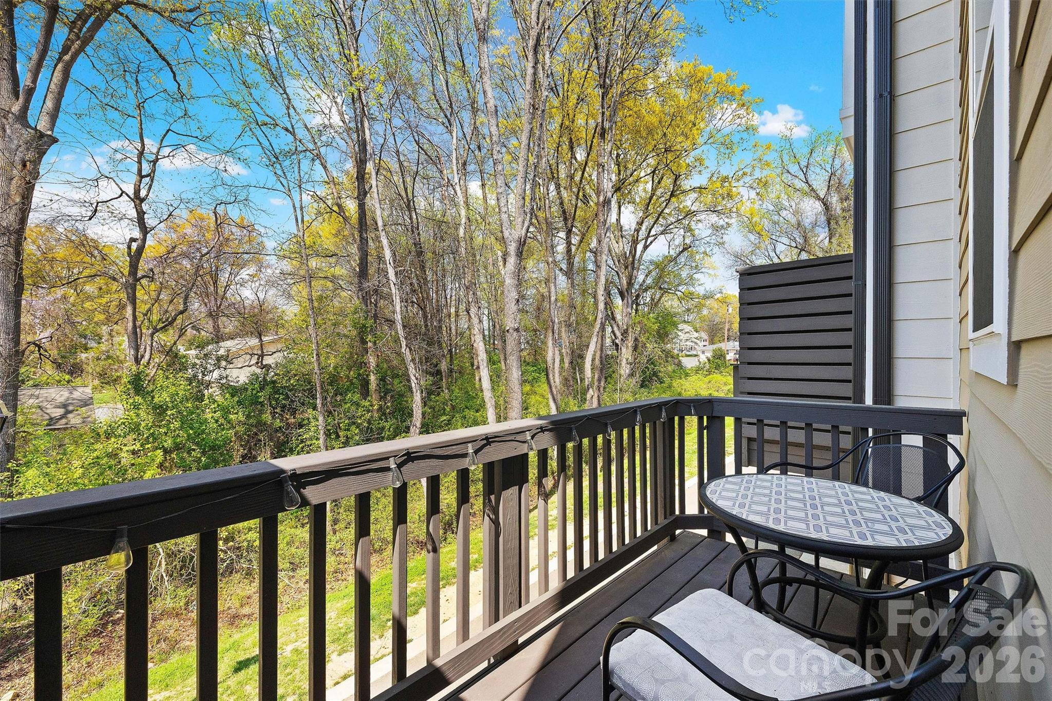 3225 Zenith Lane — Charlotte