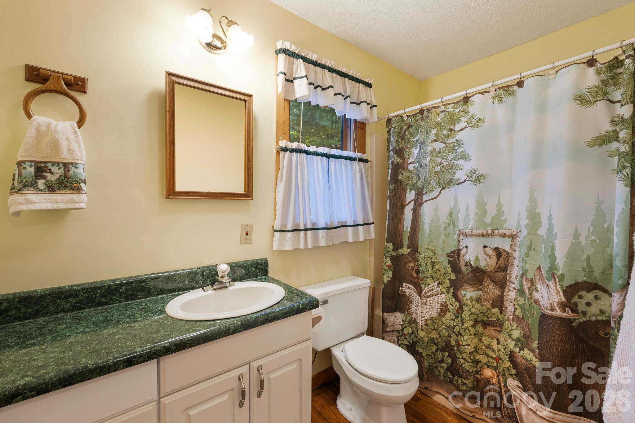 180 Grace Way — Green Mountain
