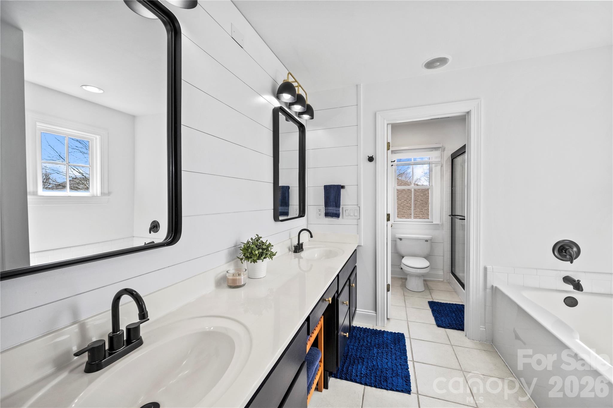 123 White Ash Drive E — Asheville